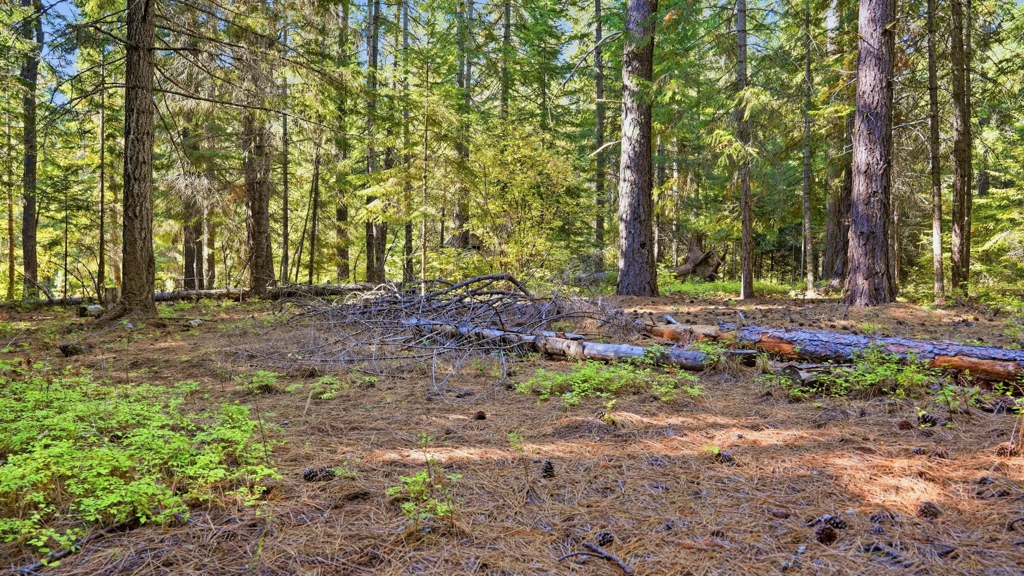 52-web-or-mls-Ground View23.jpg