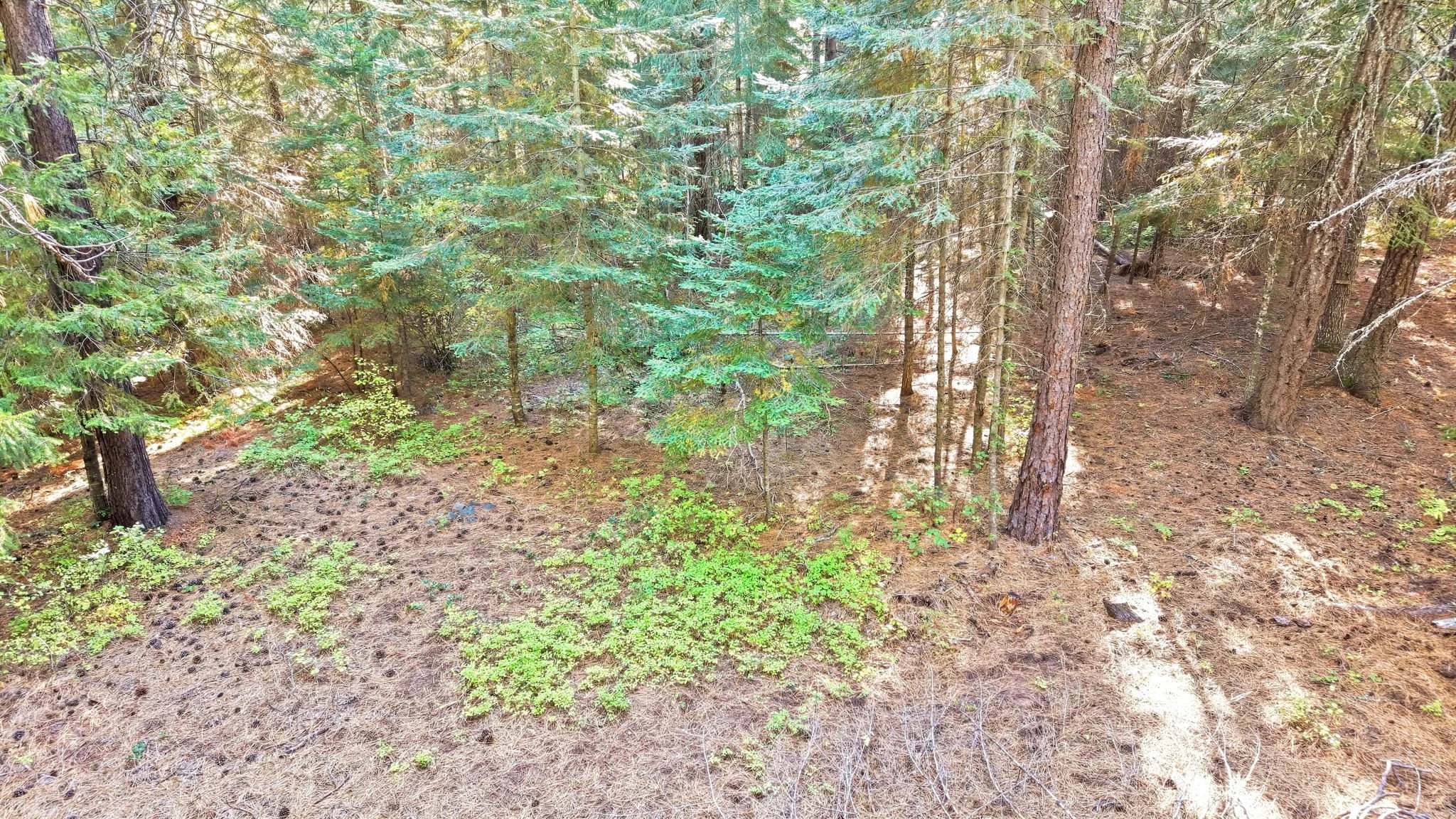 57-web-or-mls-Ground View30.jpg