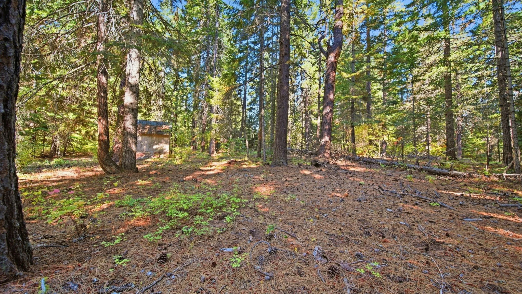 47-web-or-mls-Ground View17.jpg