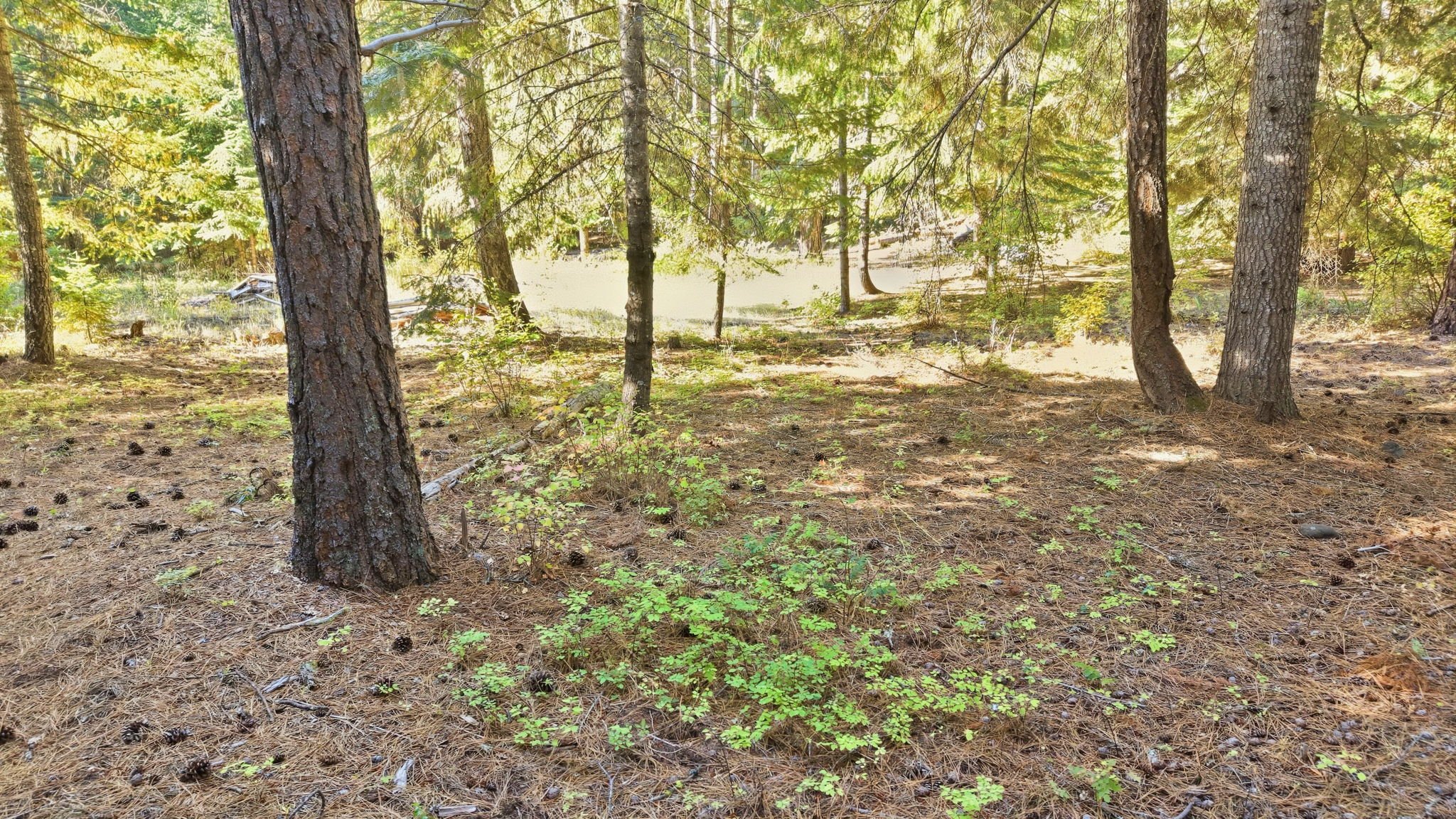 36-web-or-mls-Ground View7.jpg