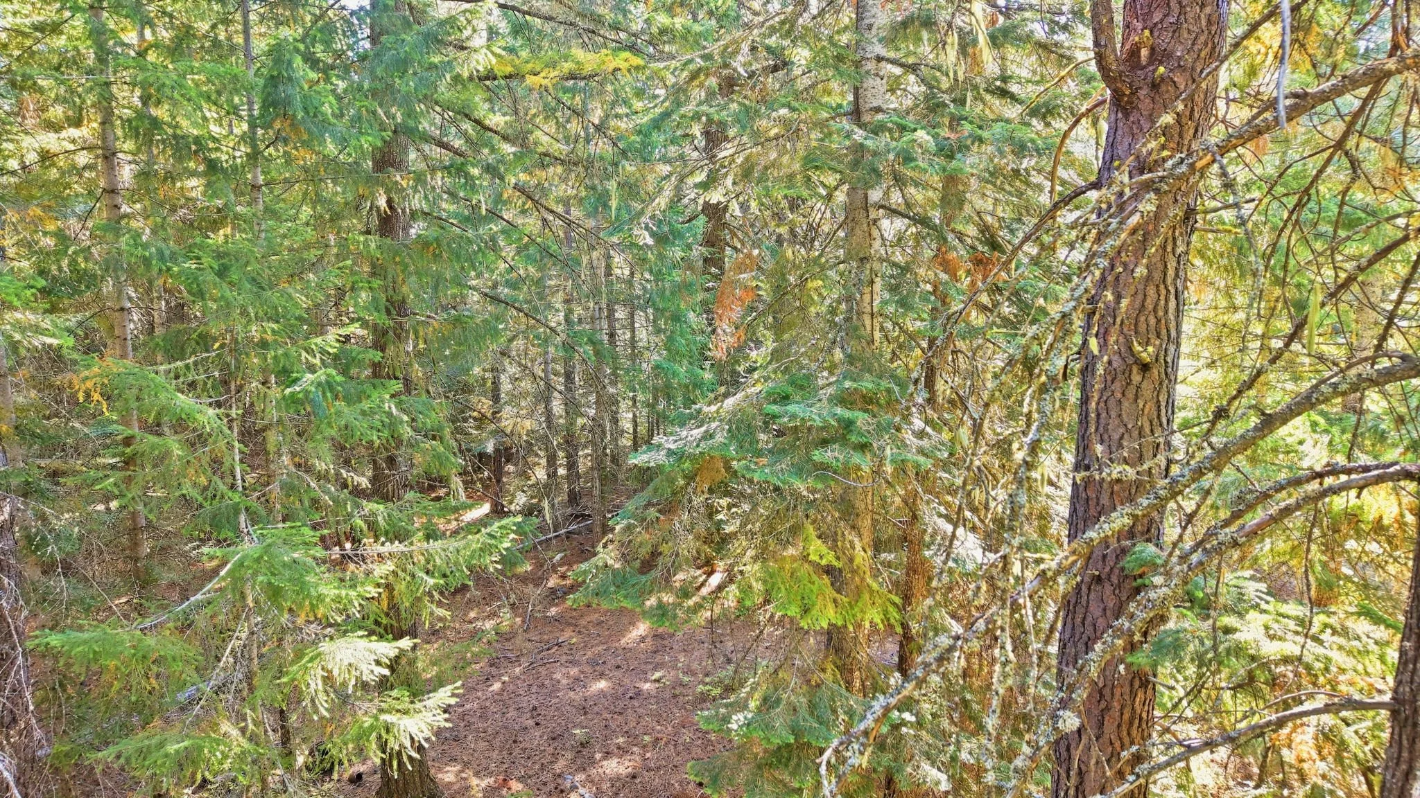 42-web-or-mls-Ground View13.jpg