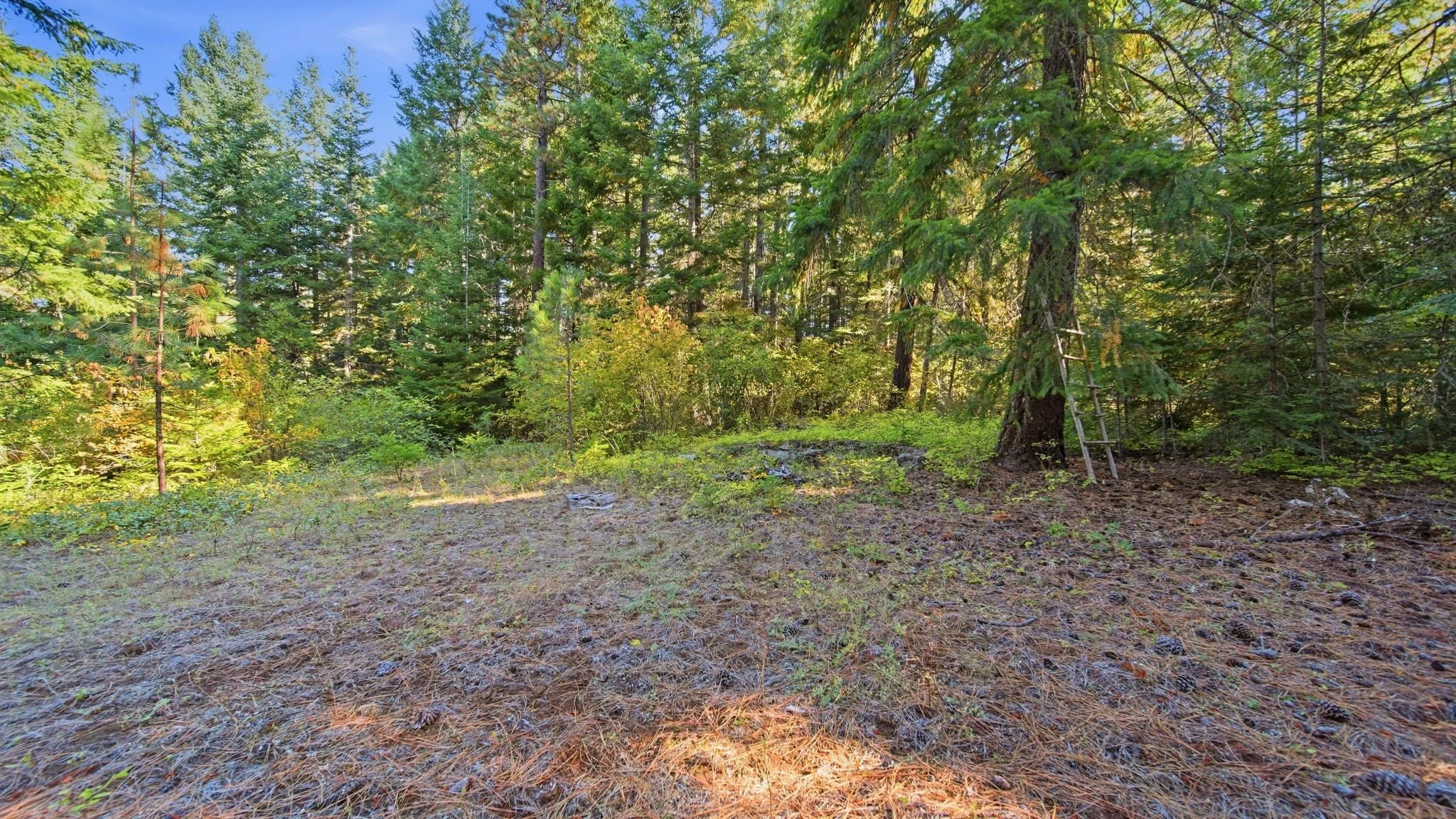49-web-or-mls-Ground View20.jpg