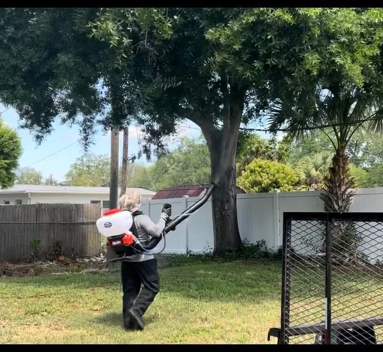 Mosquito Control in Sarasota and Manatee Counties: What Every Resident Needs to Know