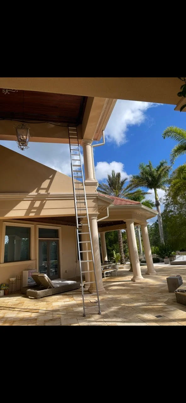 A tall aluminum ladder leans against the upper roof of a large Mediterranean-style home with columns, a tiled roof, and patio furniture. Palm trees surround the area on a bright day. Netting is fitted for bat exclusion.