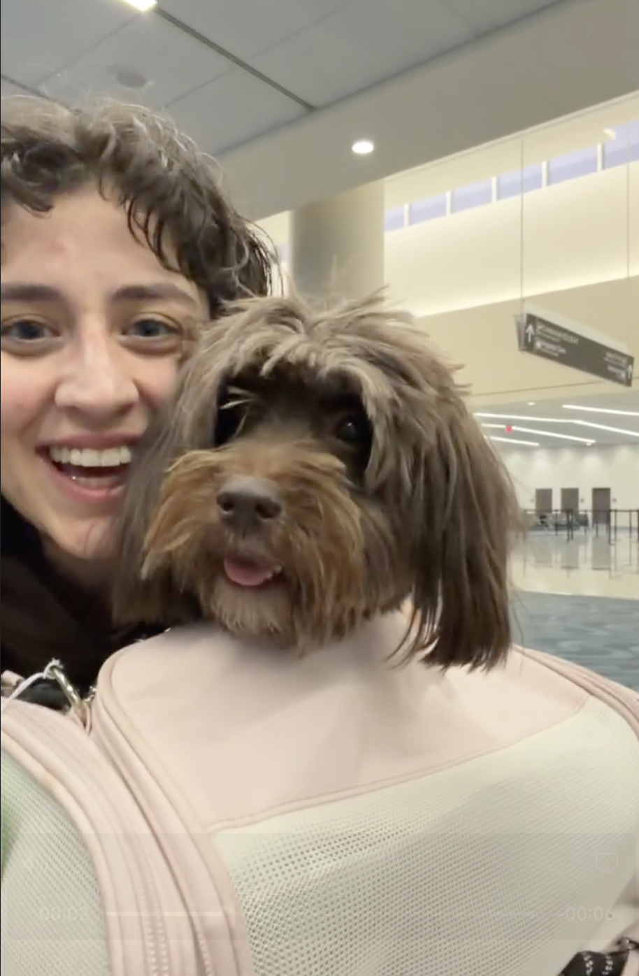 What It Cost to Bring Our Dog to Europe