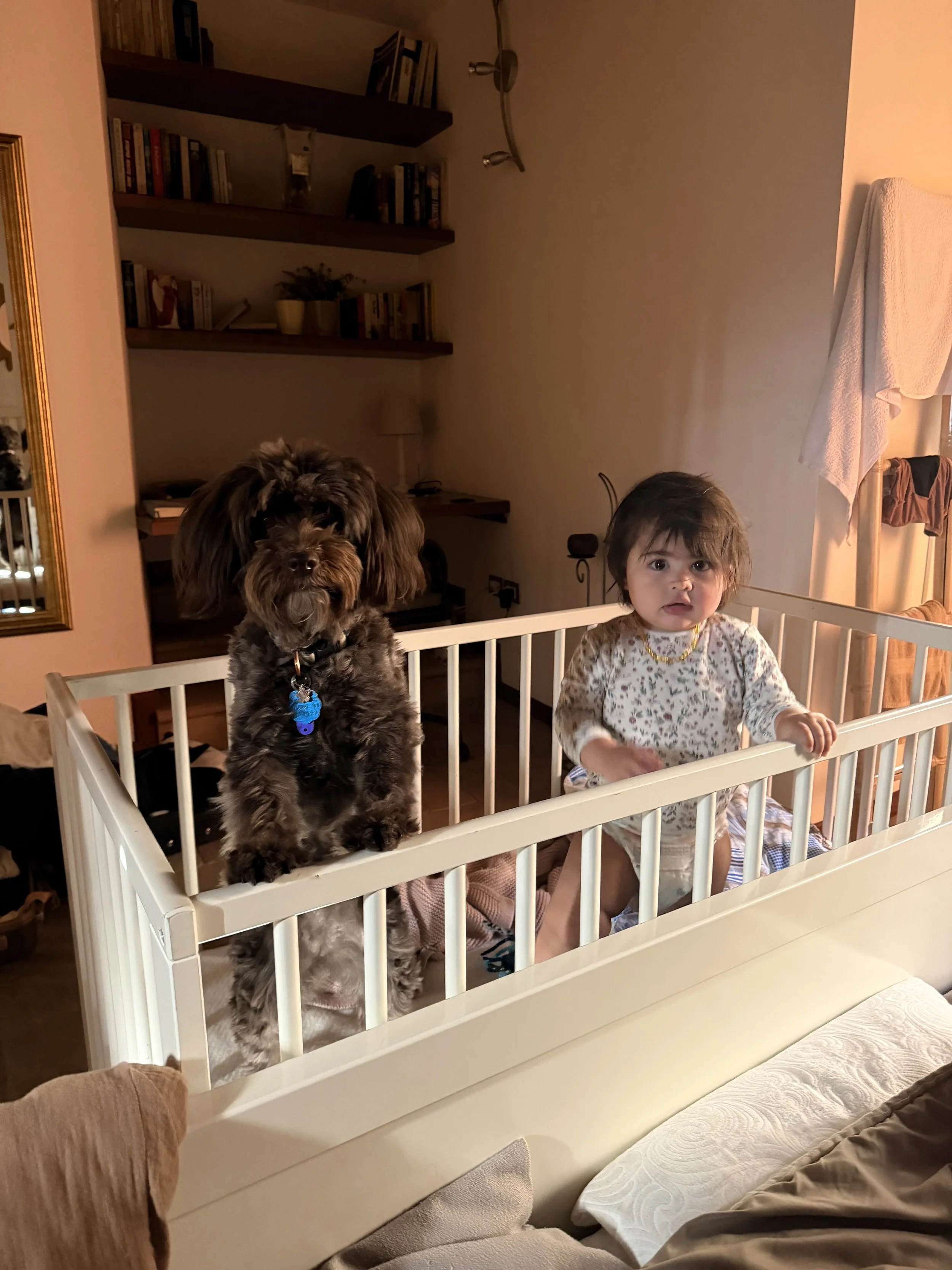 PARIS with a toddler &amp; a dog