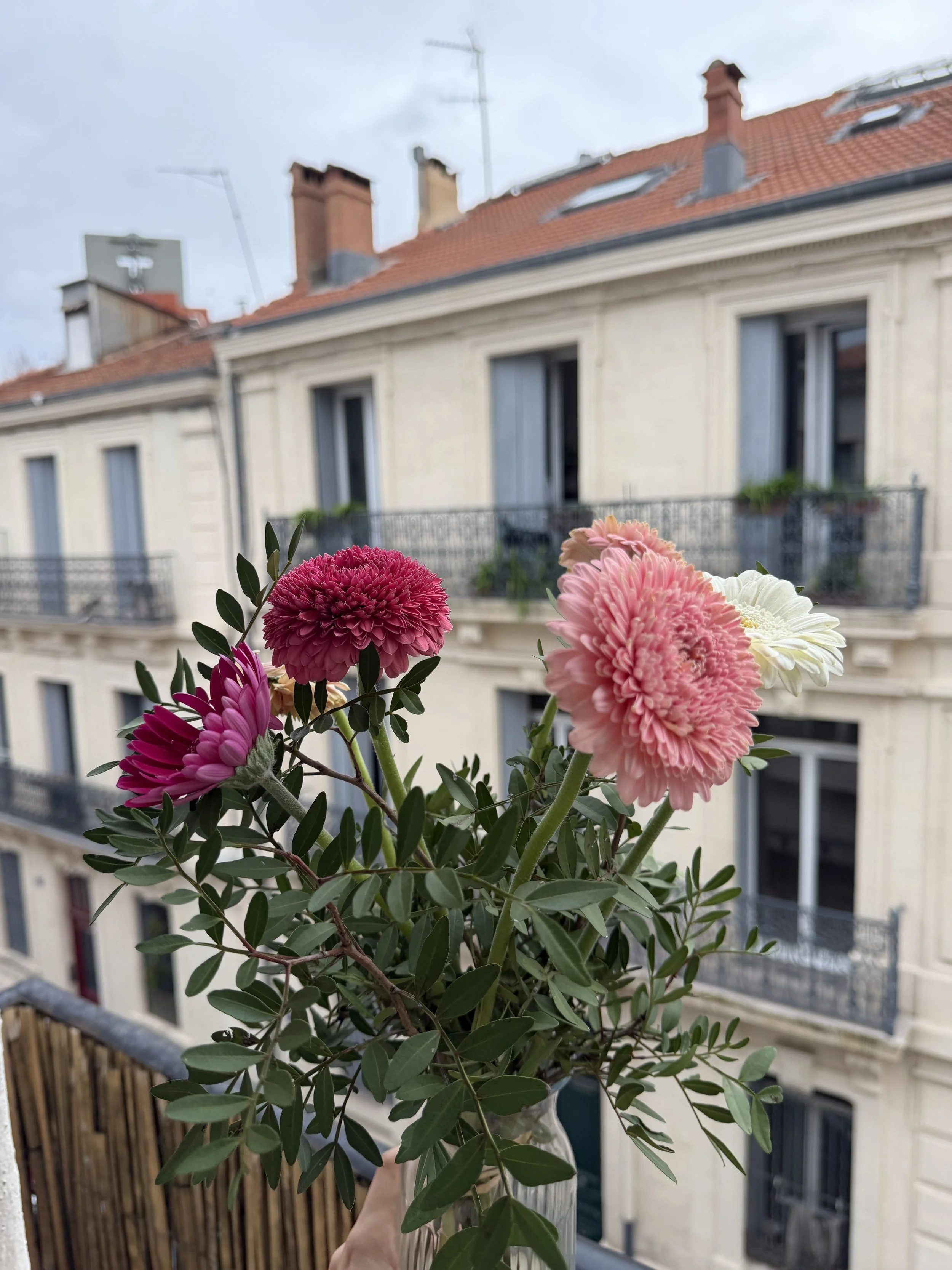 Montpellier — a small, but joyful city. 