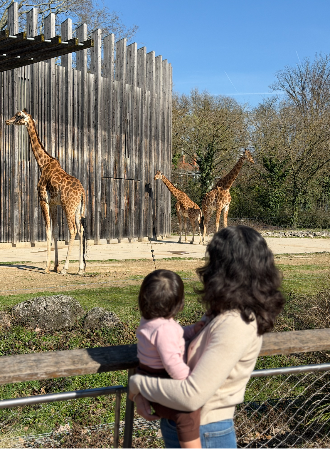 Lyon — food &amp; stroller friendly