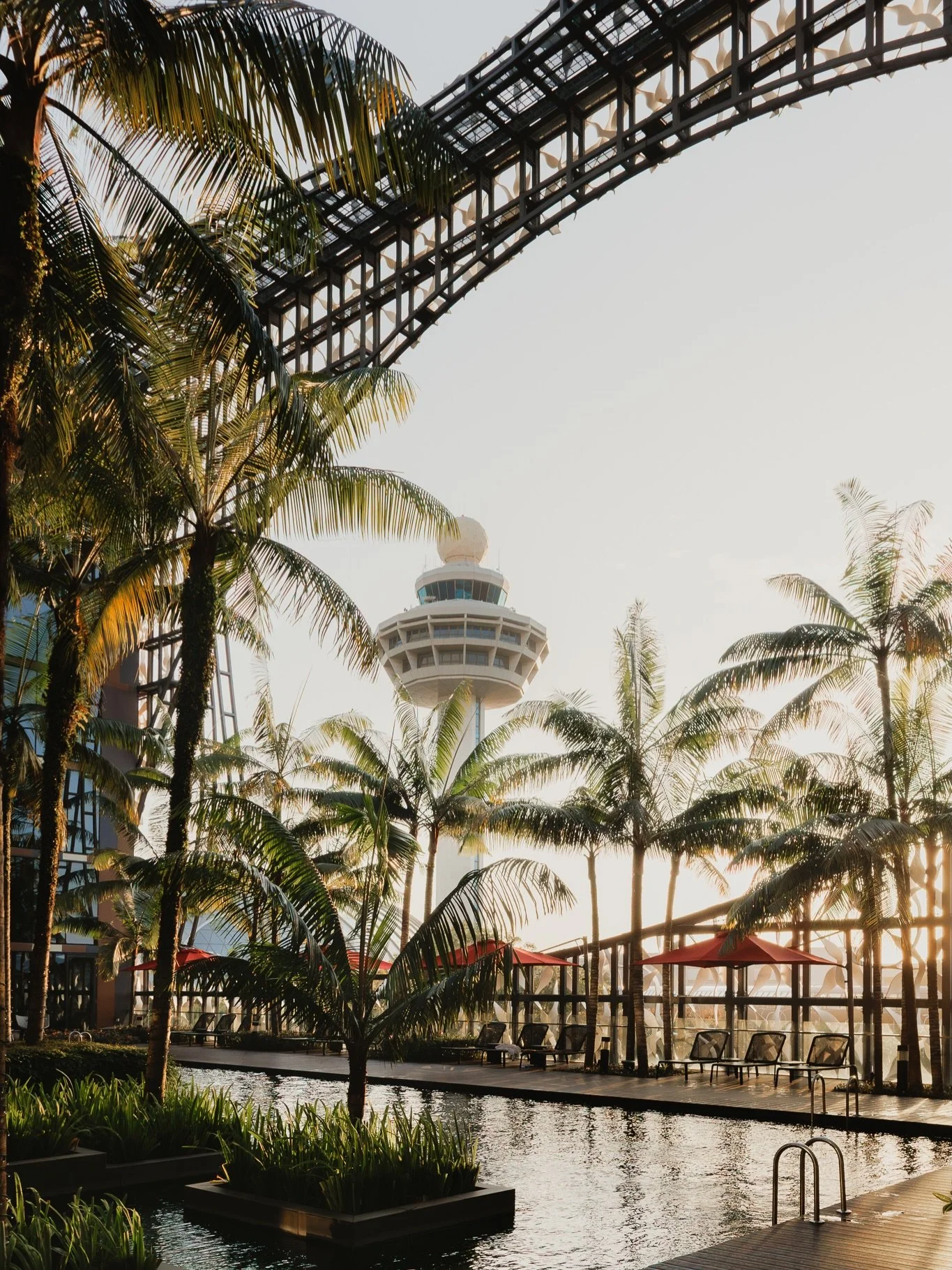 From a stopover on the way home from Aus last year. 
2025 started the day we got home and didn't stop until Christmas holidays, so these got sidelined. Also it's -5&deg;C today so longing for warmer, more humid parts of the world 🥶

Crowne Plaza Cha