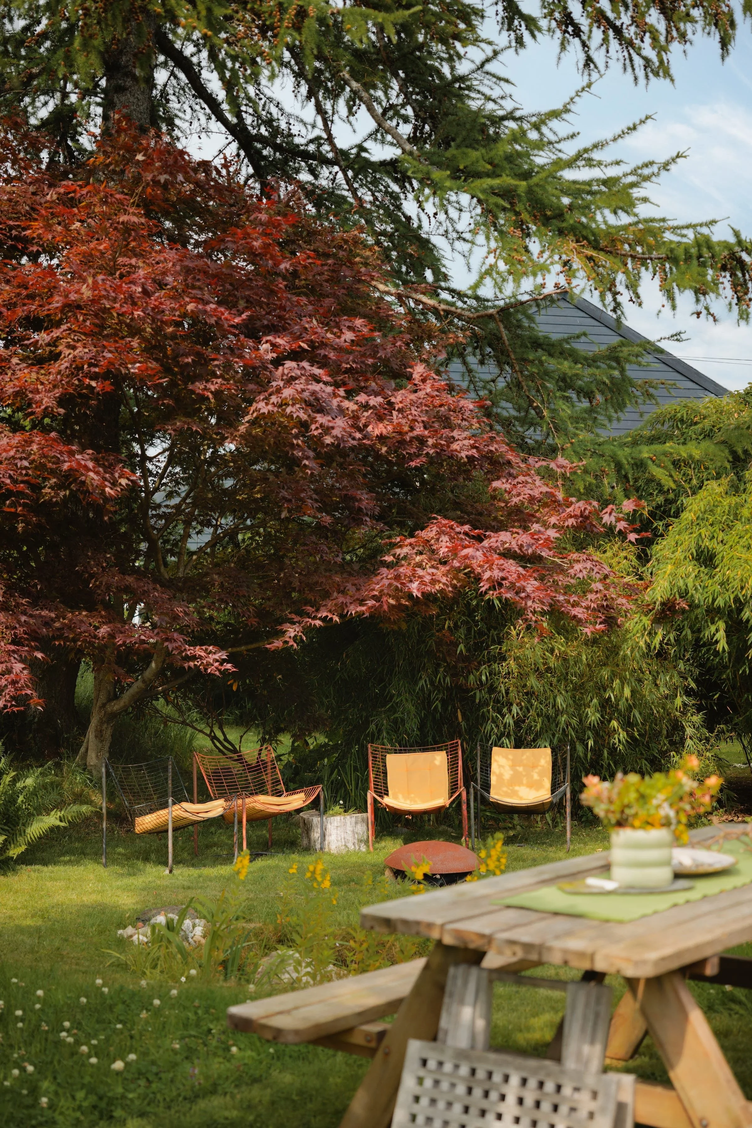 tonnis-hus-bergen-garden-foto-alex-coppo.jpg