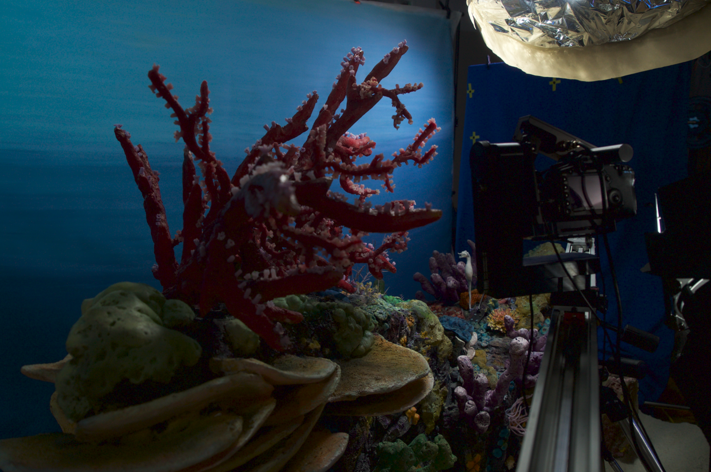 Set Fabrication for THE LOST SEAHORSE (2021)