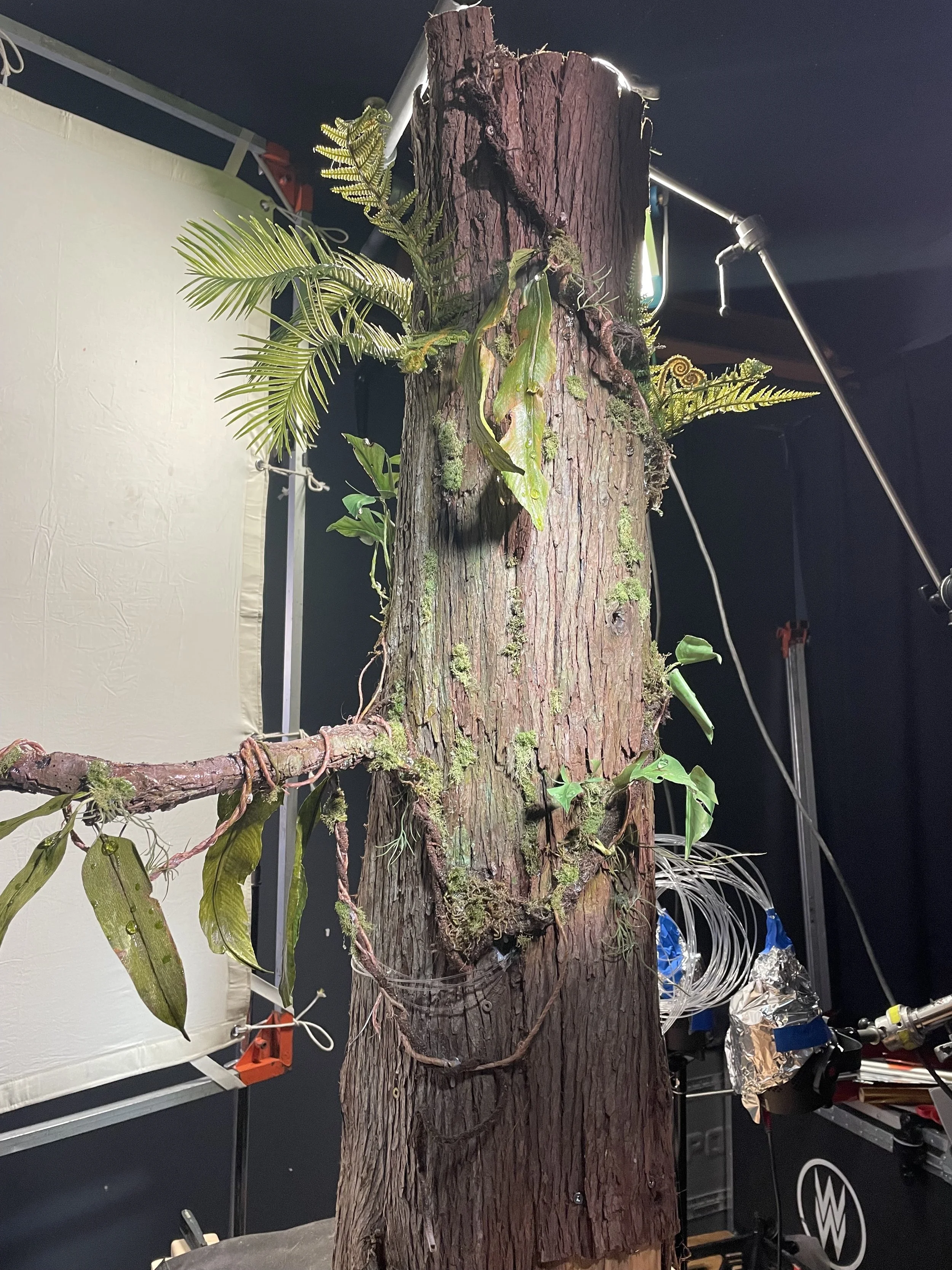 Set Fabrication for TREE DRAGON STOP-MOTION LOGO (2024)