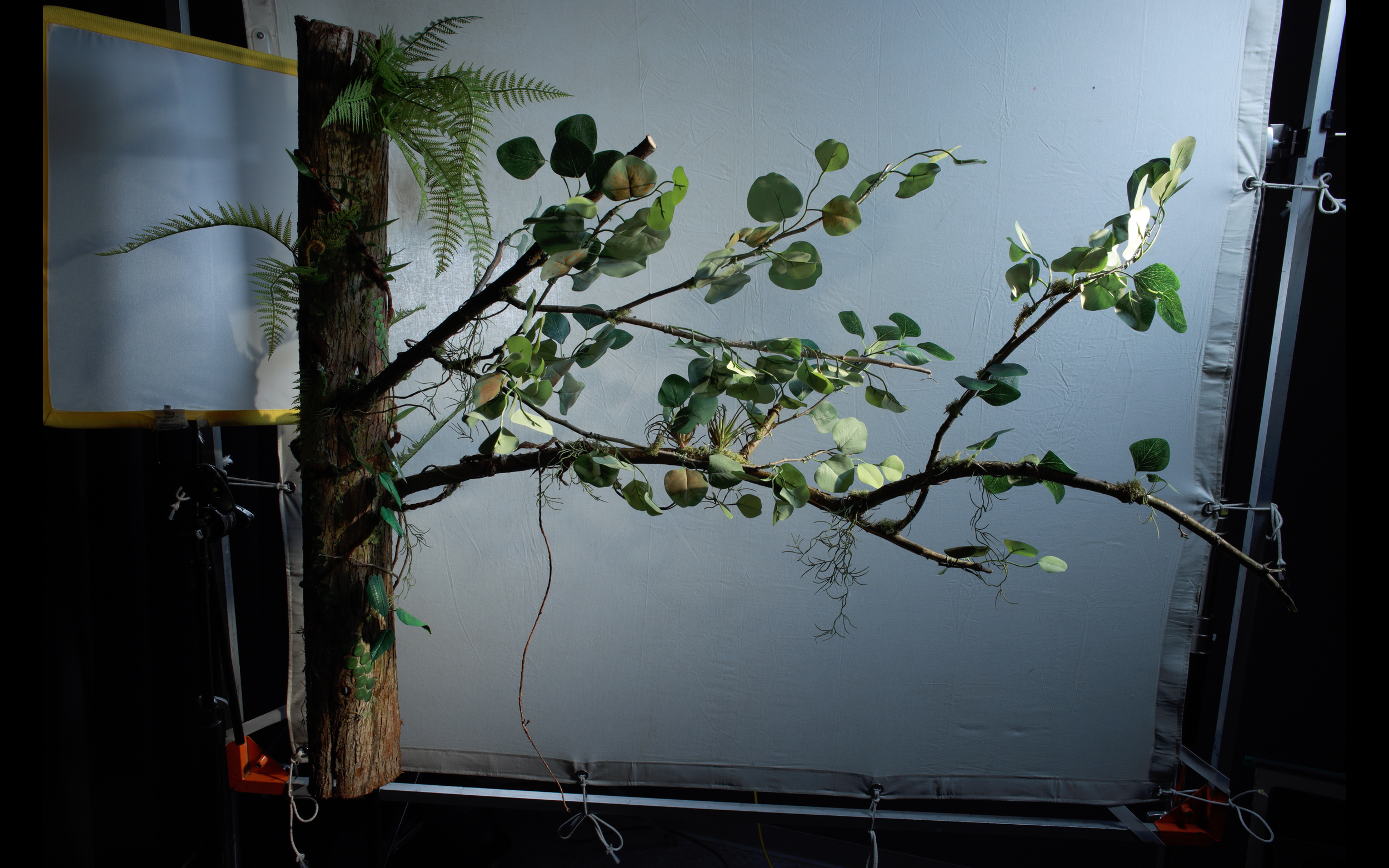Set Fabrication for TREE DRAGON STOP-MOTION LOGO (2024)
