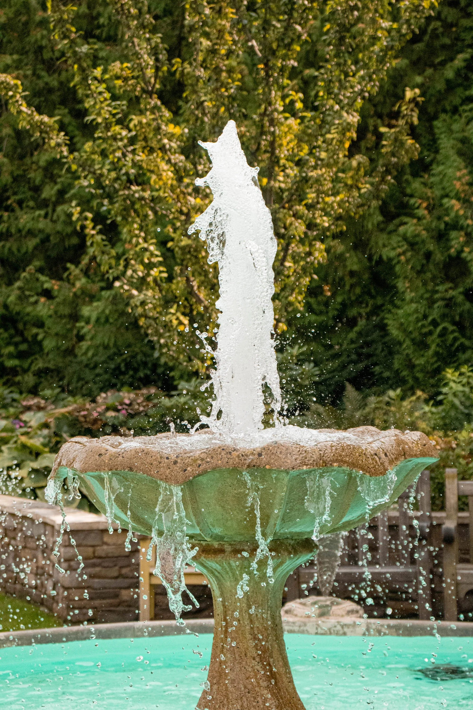 Fountain (1 of 1)-2.jpg