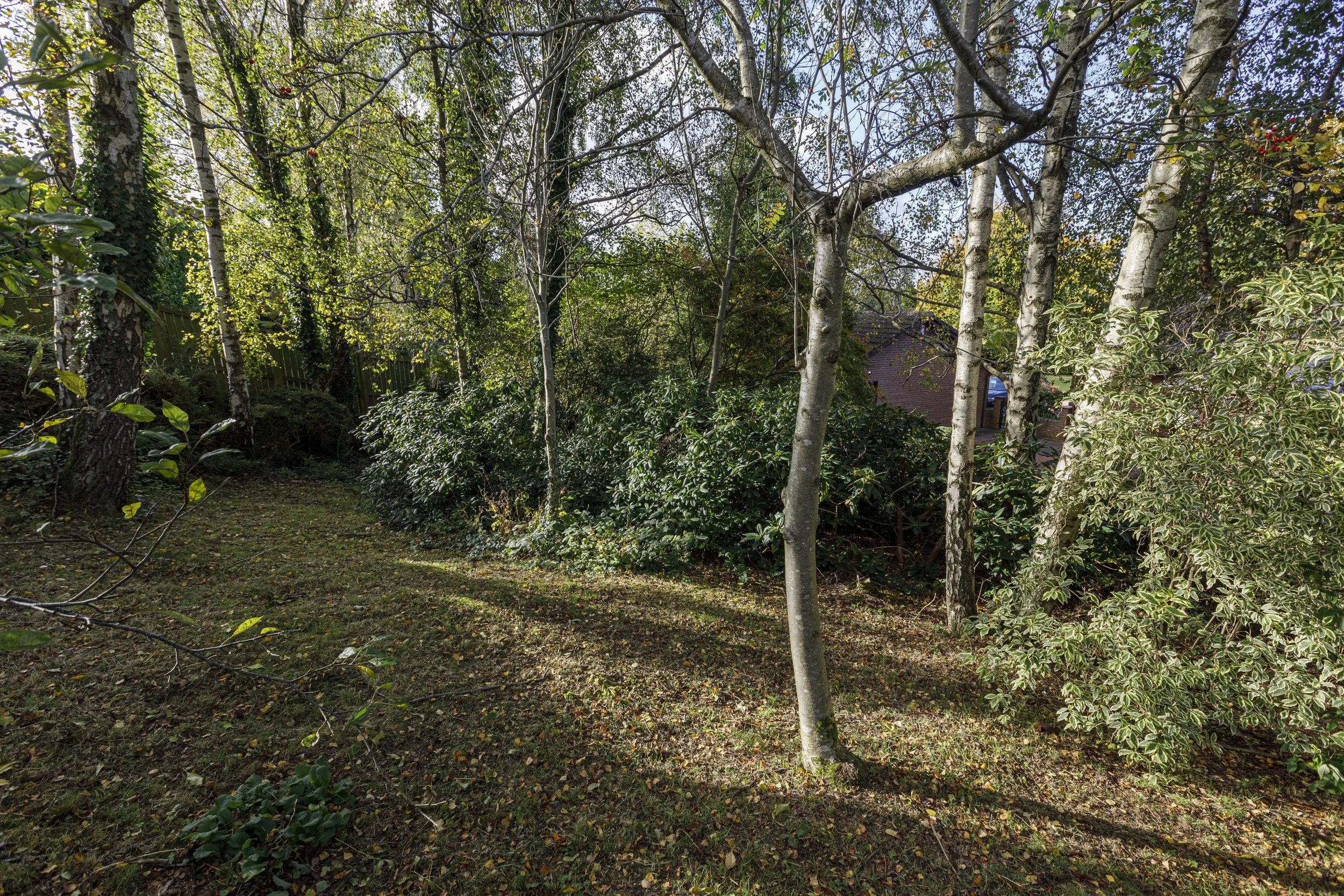 Birchlea, 43 Falkirk Road, Linlithgow_45.JPG