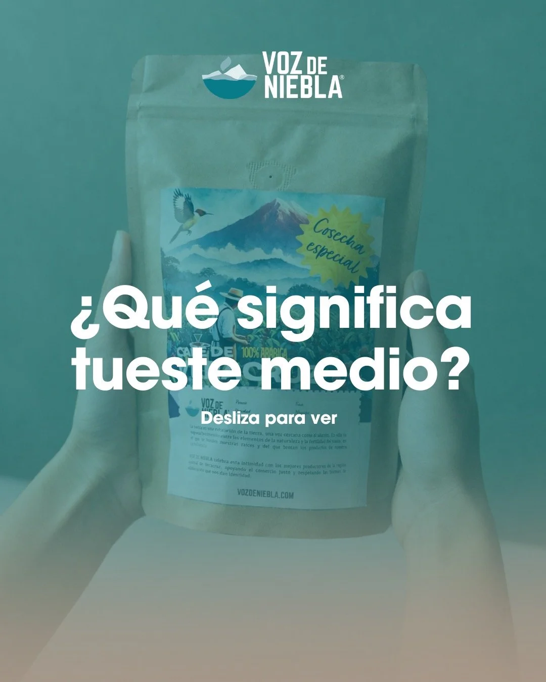 &iquest;Sab&iacute;as que el tueste influye directamente en el sabor de tu caf&eacute;? ☕
El tueste medio es uno de los favoritos de los amantes del caf&eacute; porque logra un equilibrio perfecto entre acidez, aroma y cuerpo.
Permite disfrutar mejor