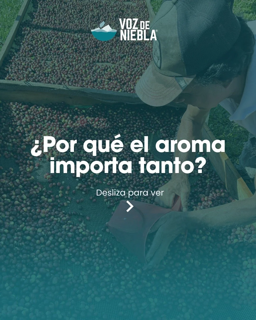 ☕✨ El caf&eacute; empieza mucho antes del primer sorbo&hellip;
El aroma es esa primera conexi&oacute;n que despierta tus sentidos, te transporta y define toda la experiencia. 🌿
Cada nota que percibes cuenta una historia: del origen, del proceso y de
