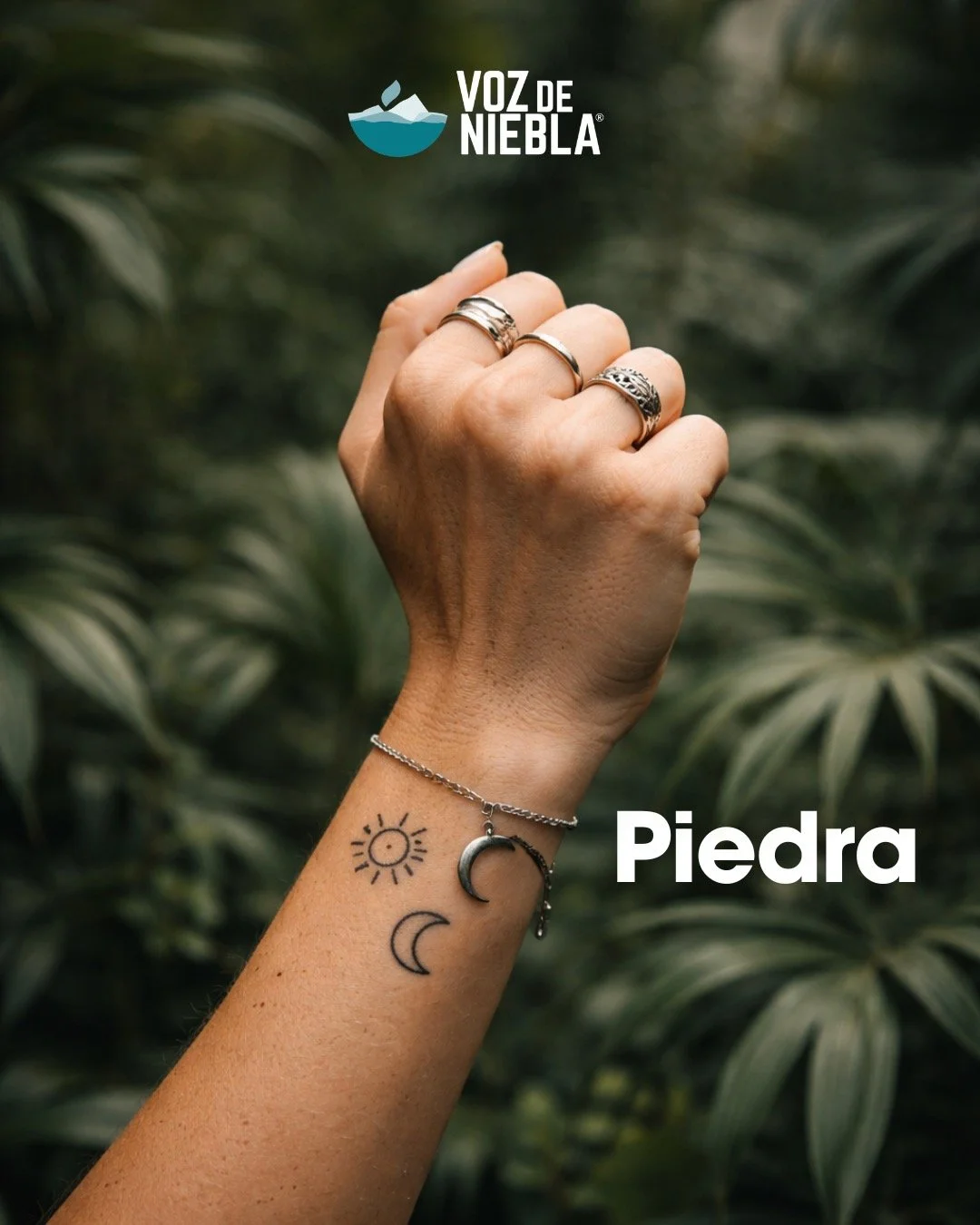 &iquest;Piedra, papel&hellip; o caf&eacute;? ☕
Nosotros elegimos siempre caf&eacute;.
Descubre el sabor aut&eacute;ntico de Veracruz en cada taza.
Cosecha especial, aroma que conecta y calidad que se disfruta desde el primer sorbo.
Explora todos nues