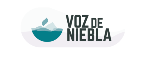 Voz de niebla