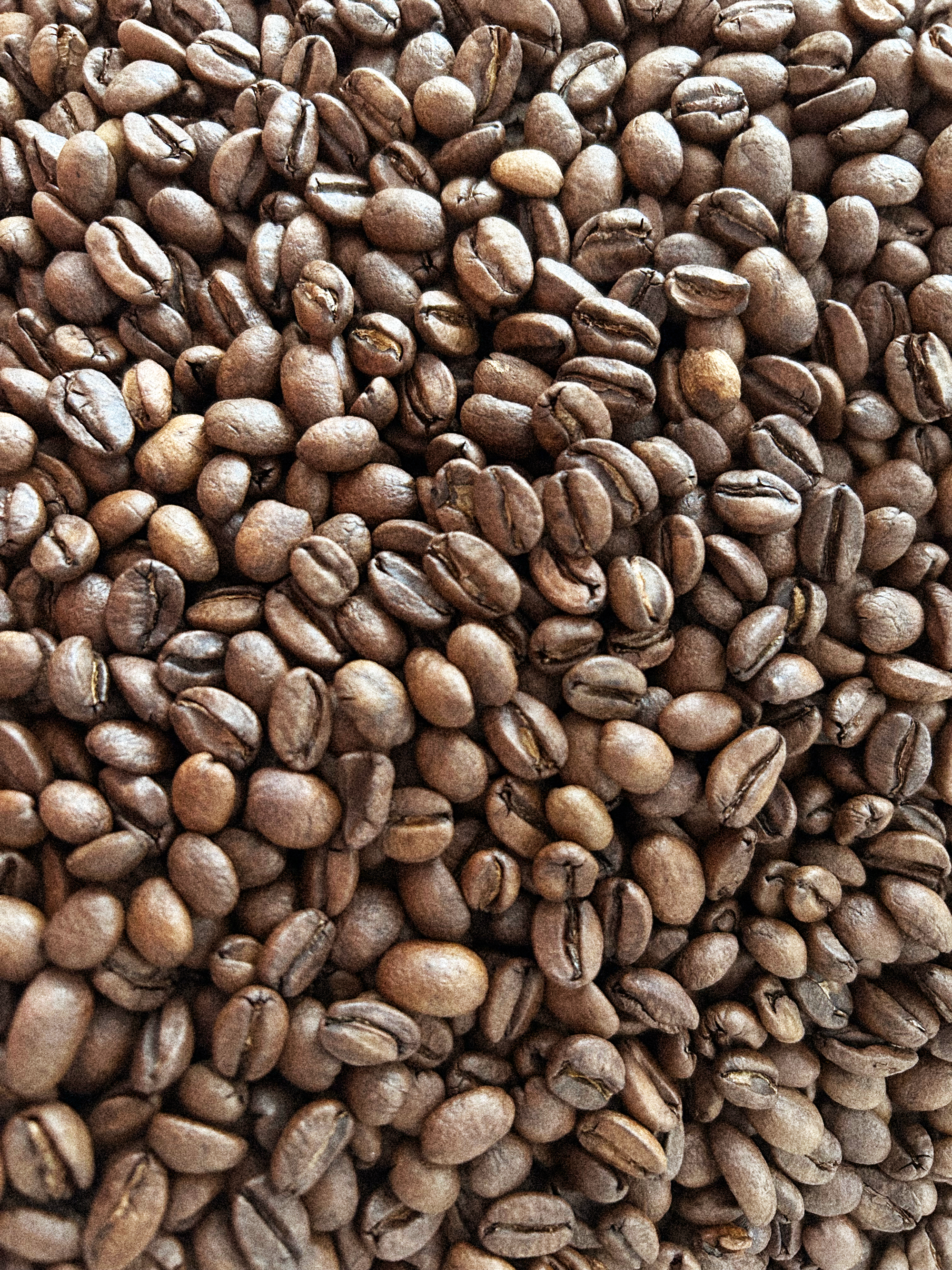 Granos de café tostados y enteros