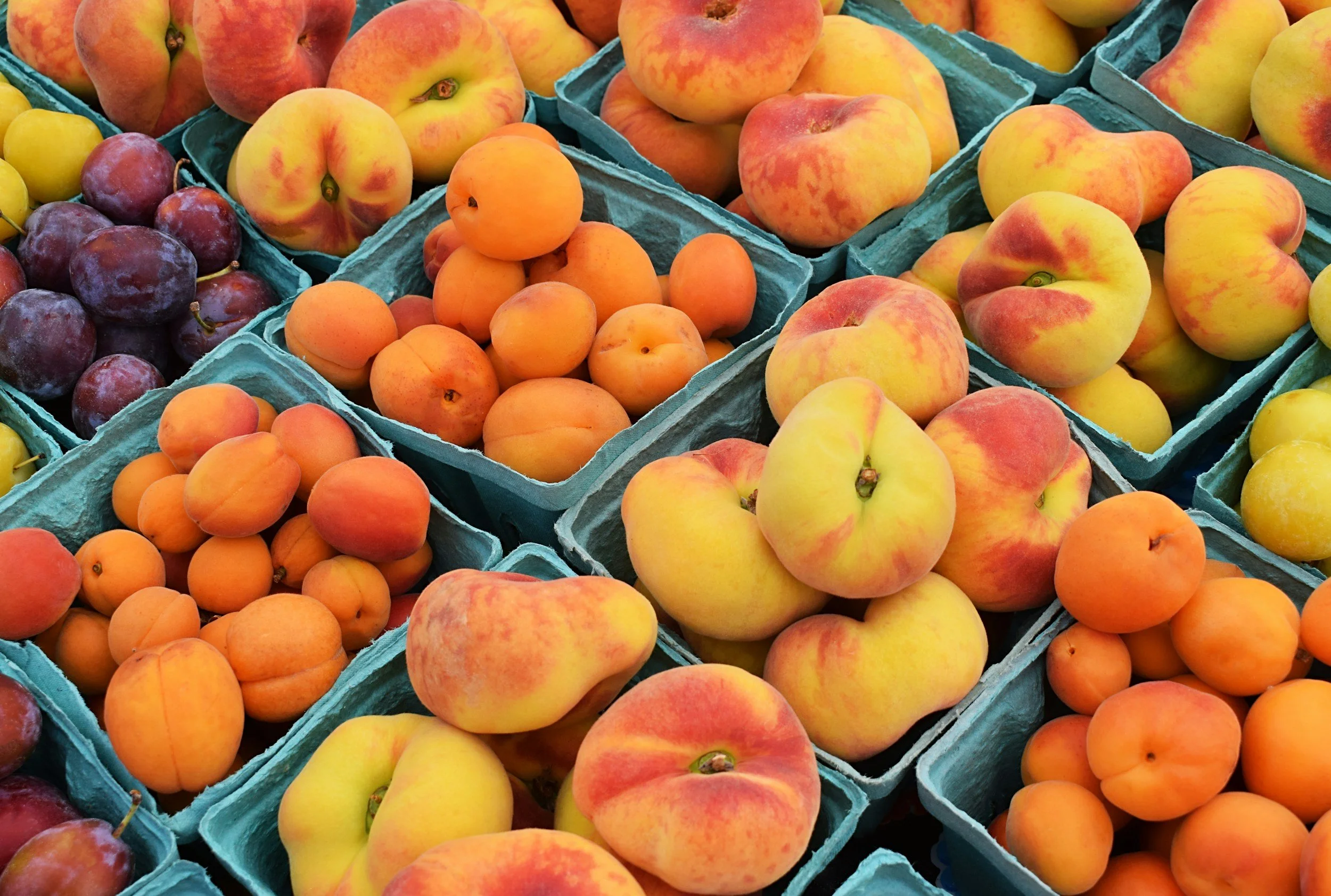 Various fresh peaches, apricots, and plums displayed in green cartons at a fruit market.