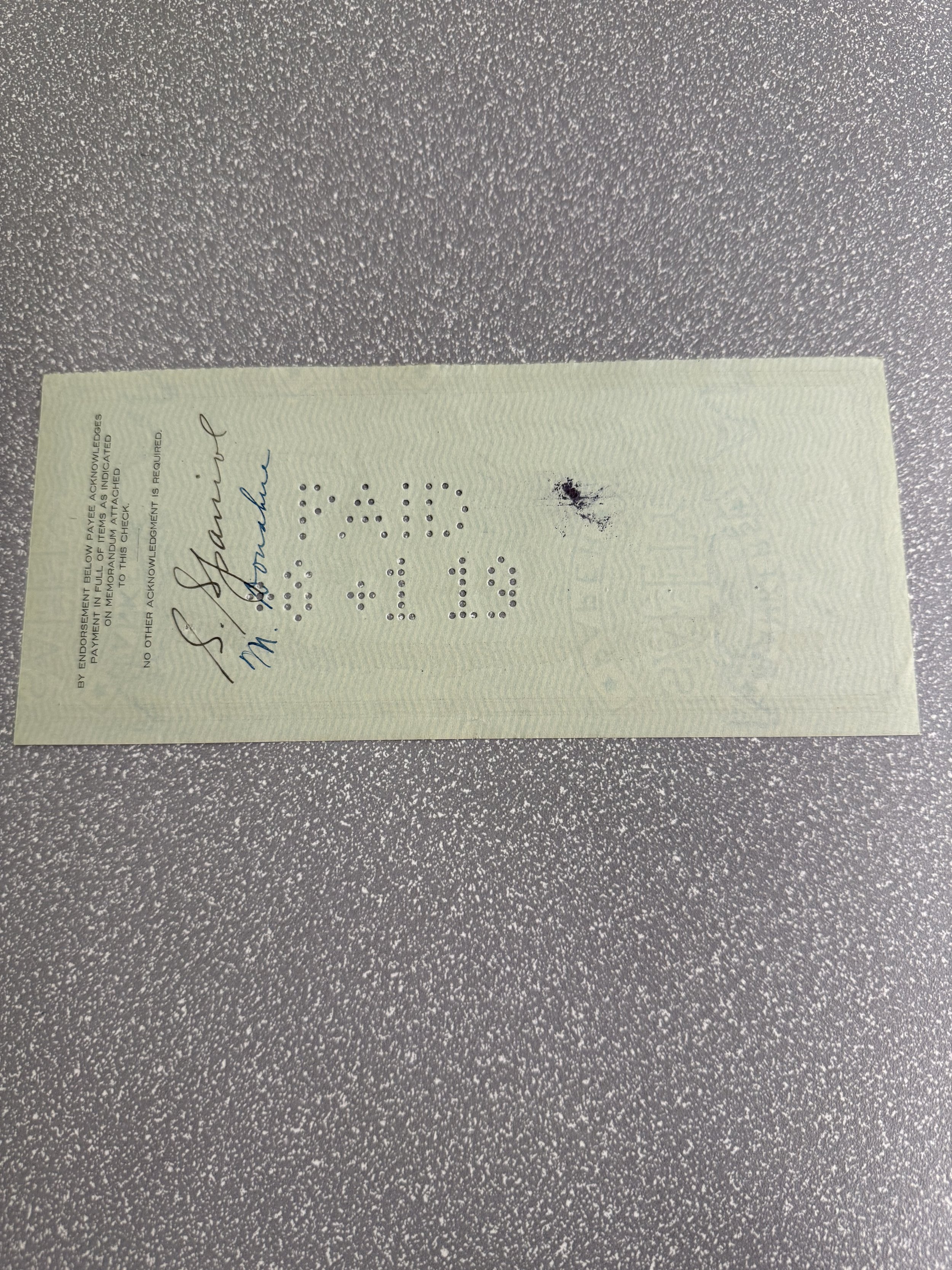 Sarah Spaniol Check Back.jpeg