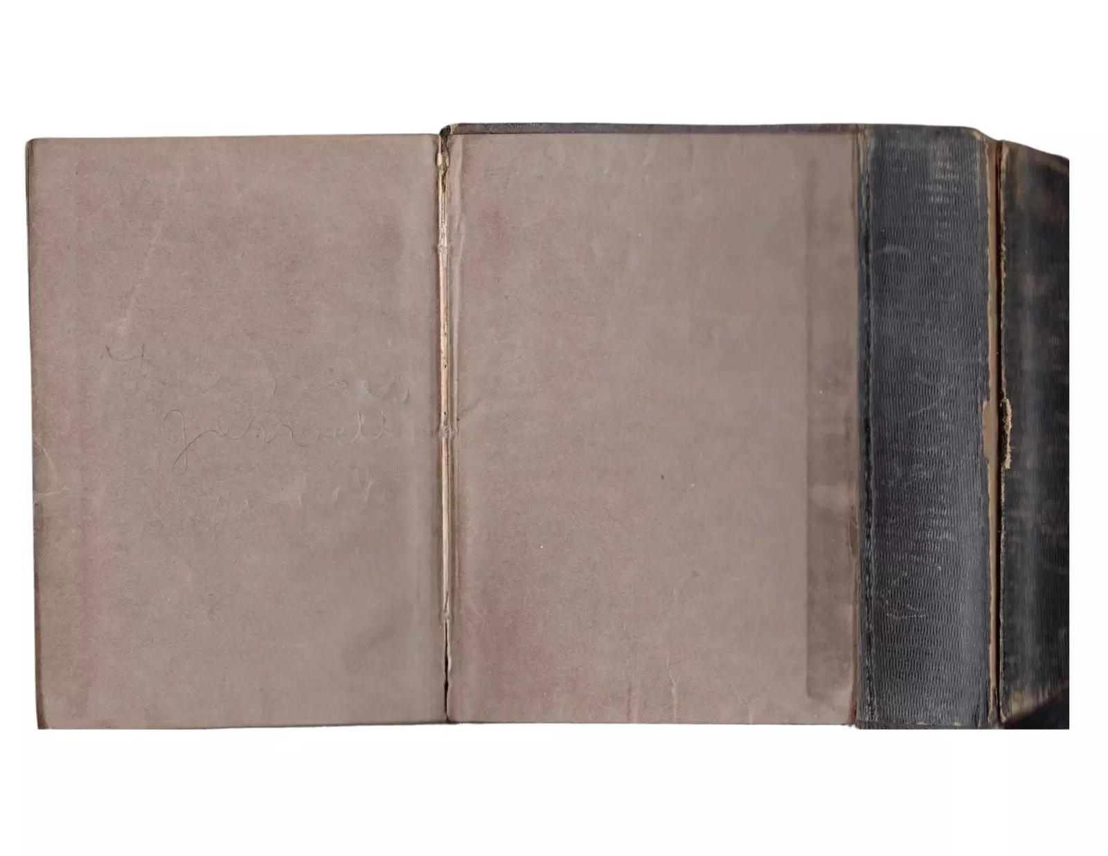 Luther Gulick 9.jpeg