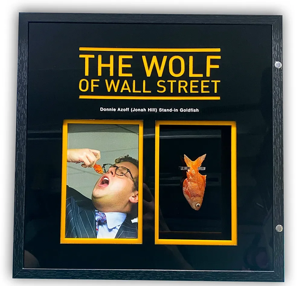 Wolf of Wall Street Goldfish 2.webp