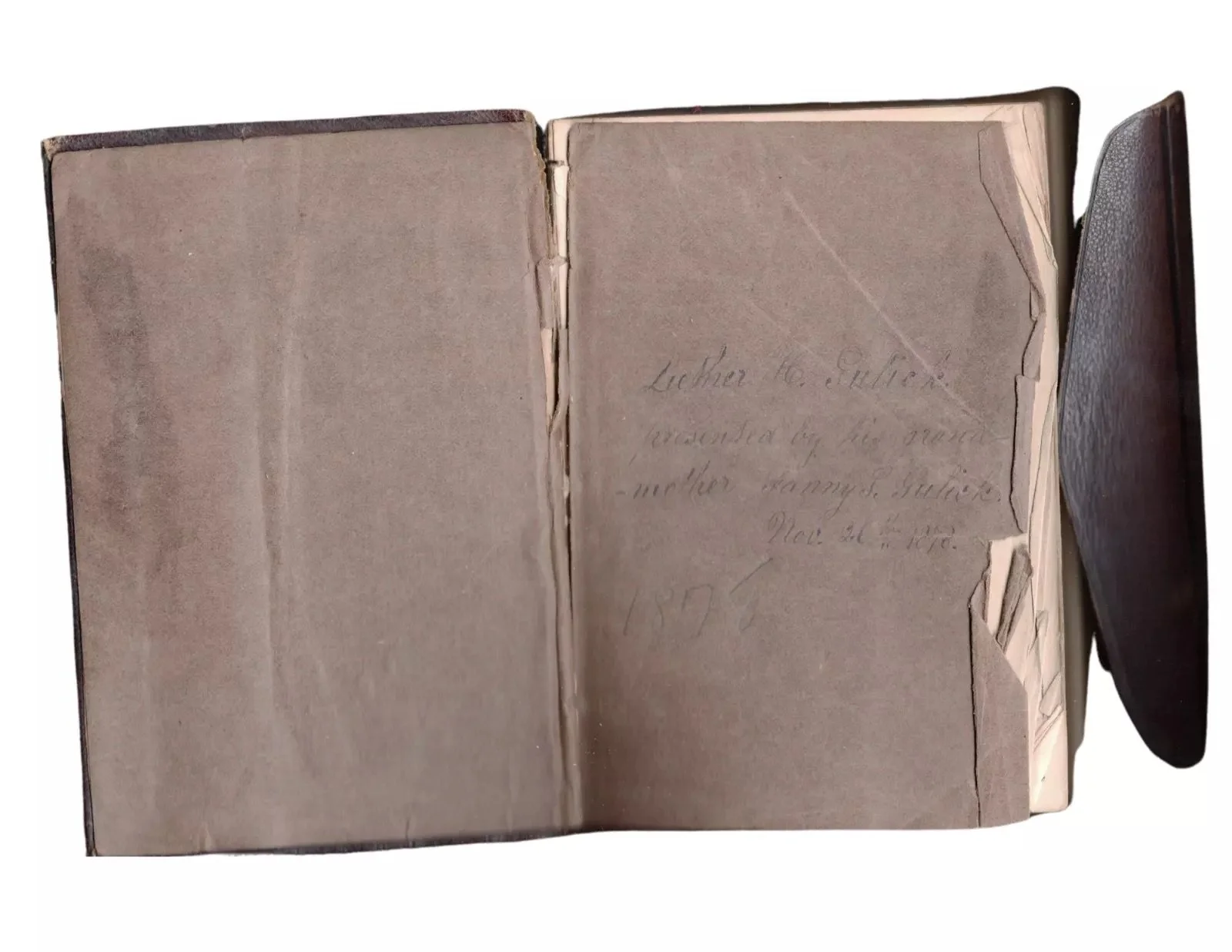 Luther Gulick’s Boyhood Bible