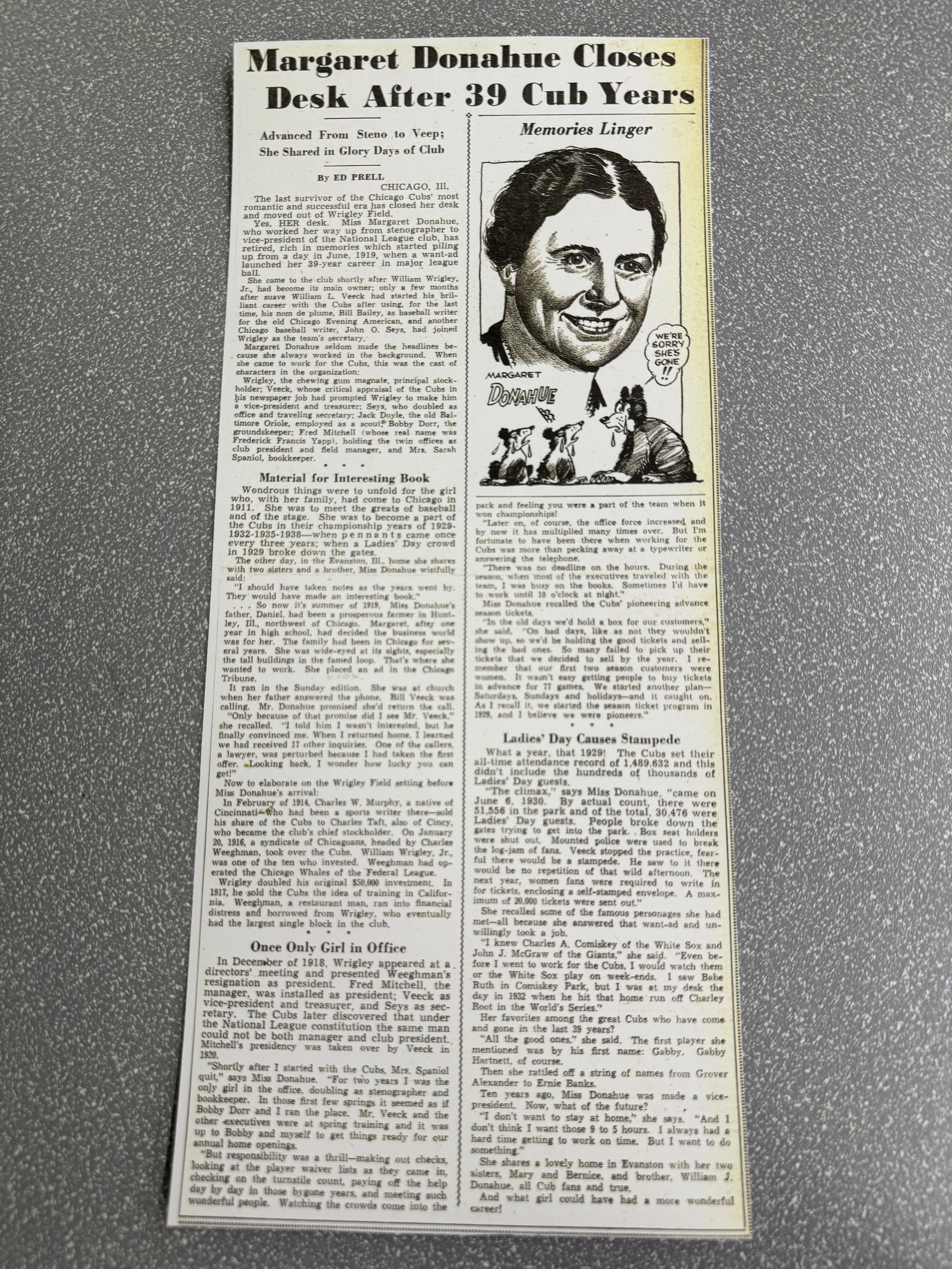 Newspaper Article.jpeg