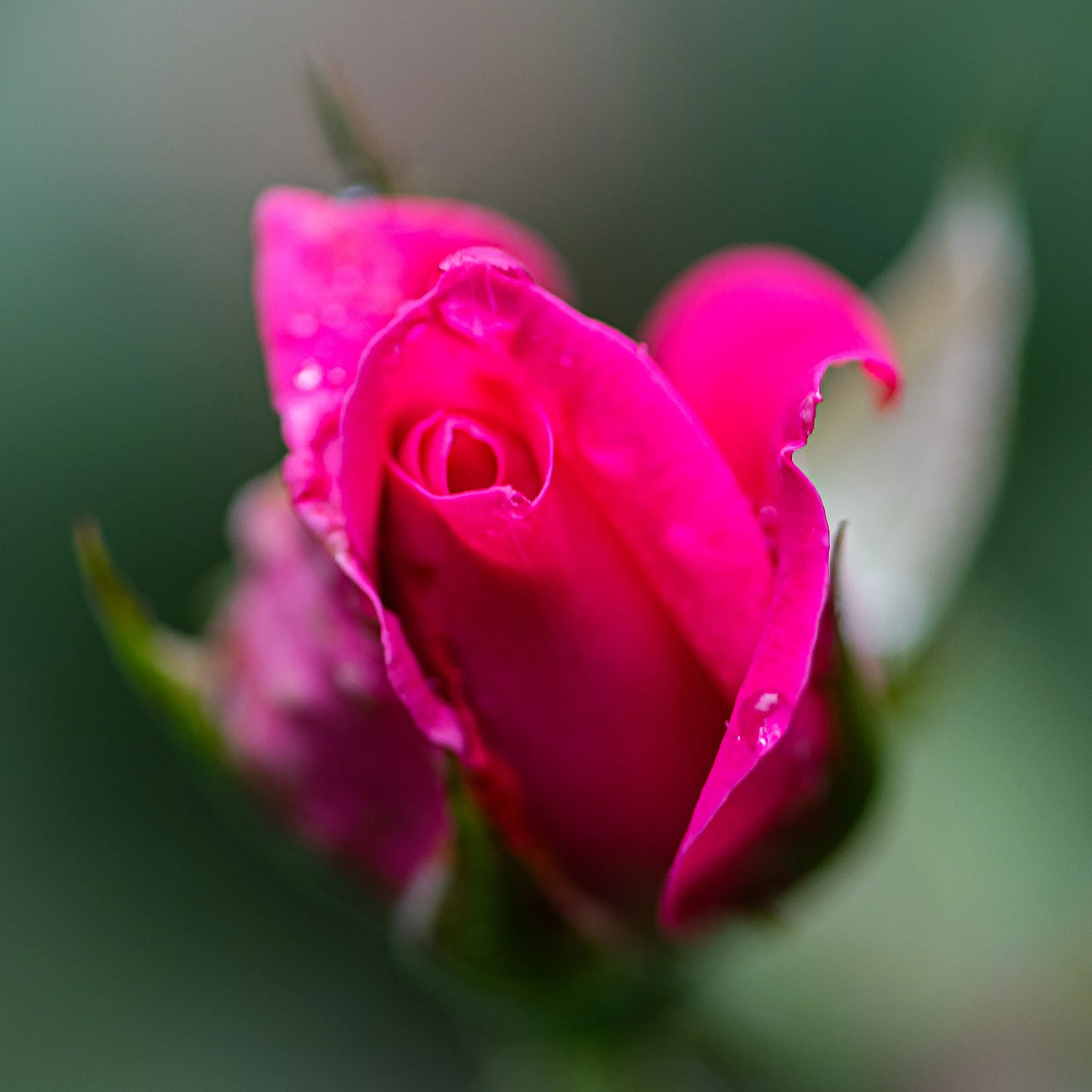 Vienna Community Center 