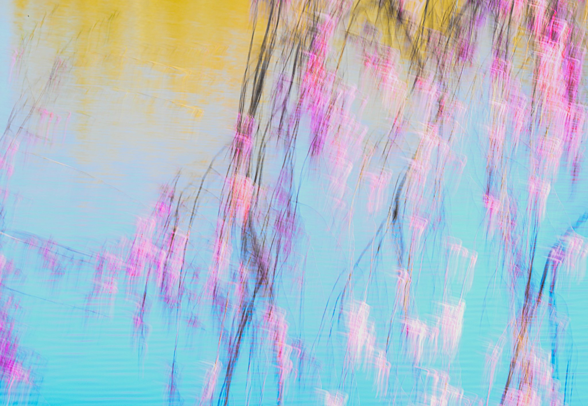 15th Annual Joseph Miller Abstract Photography Exhibit