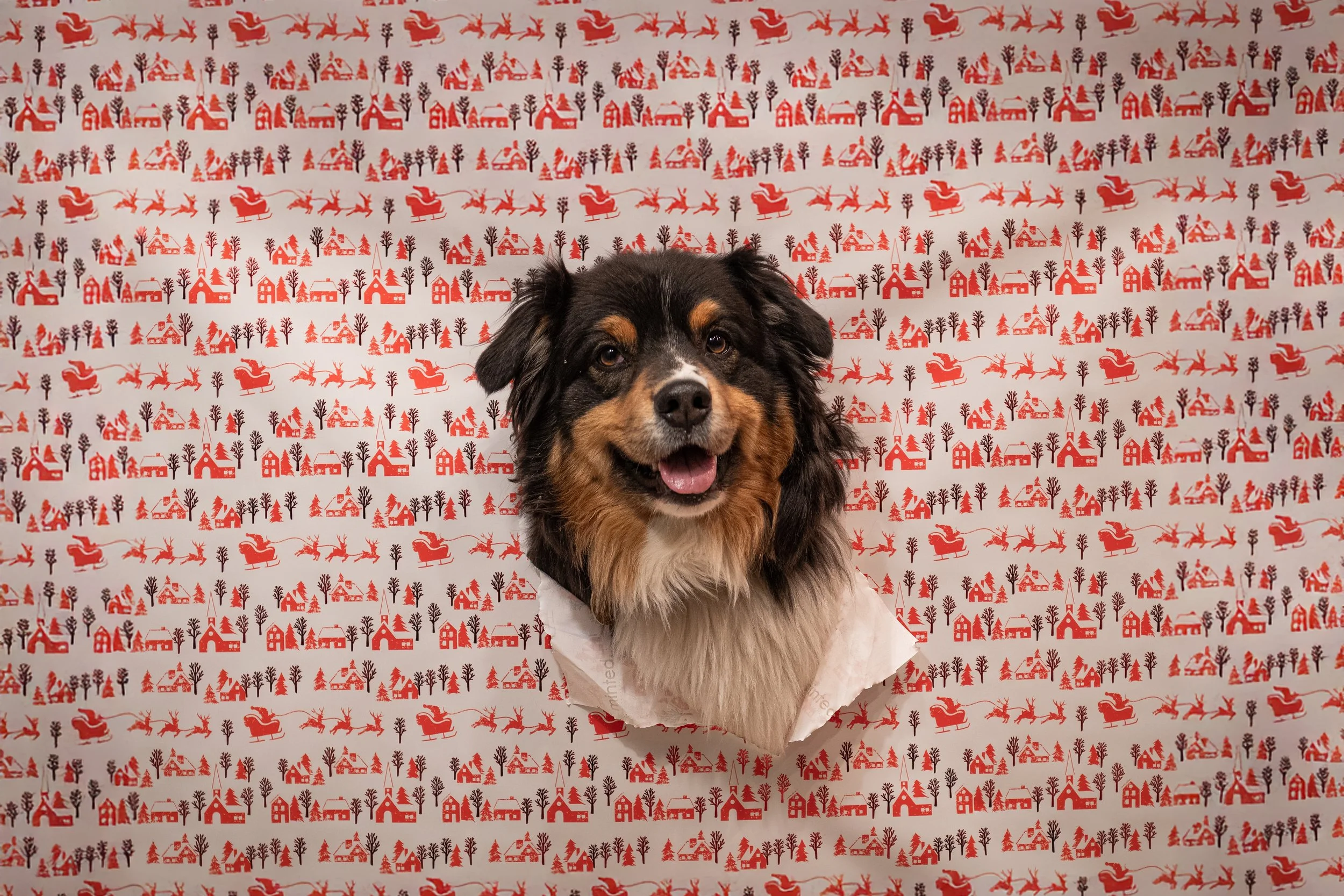 _DSC0041 - 13-12-2025 13-26-35.jpg