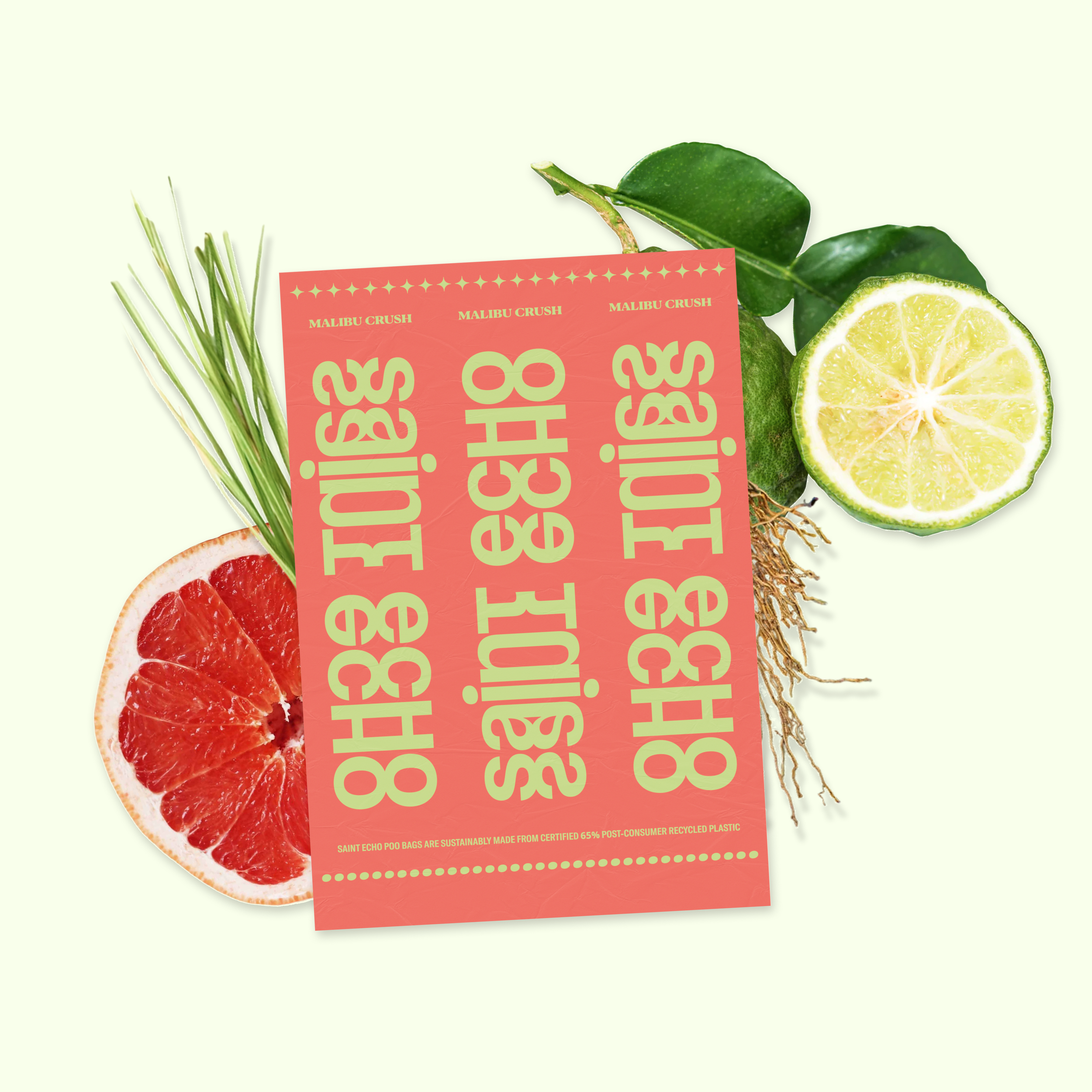 Grapefruit and citrus ingredients representing the Malibu Crush signature scent.