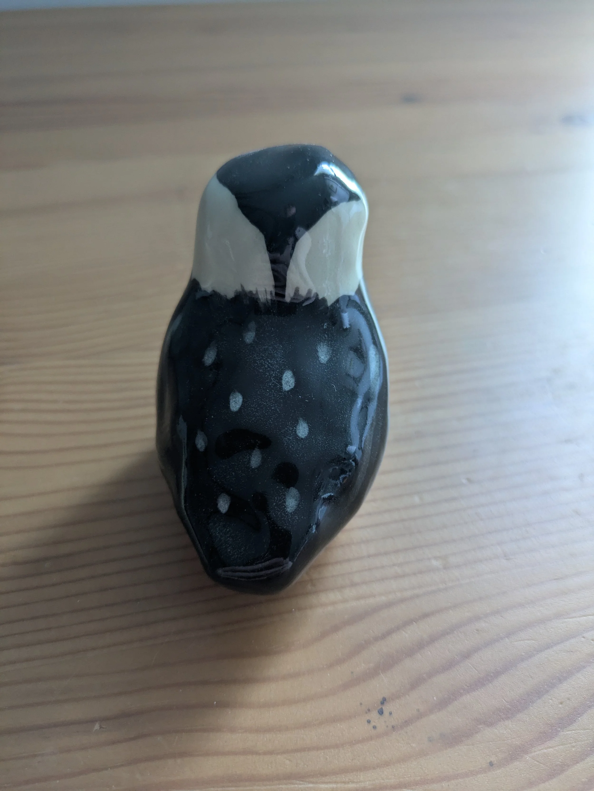 Little Black-Capped Chickadee - back.jpg