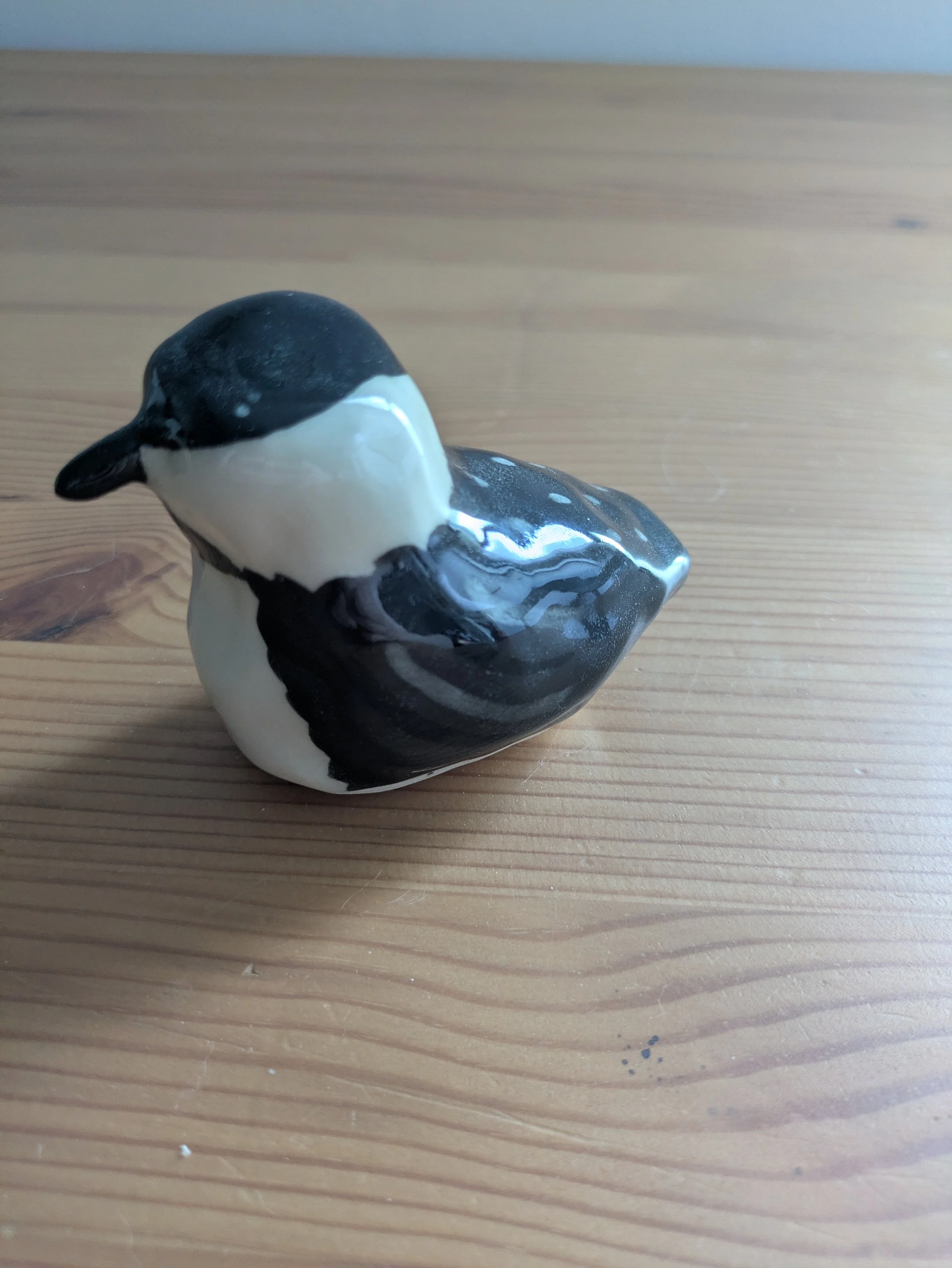 Little Black-Capped Chickadee - side.jpg