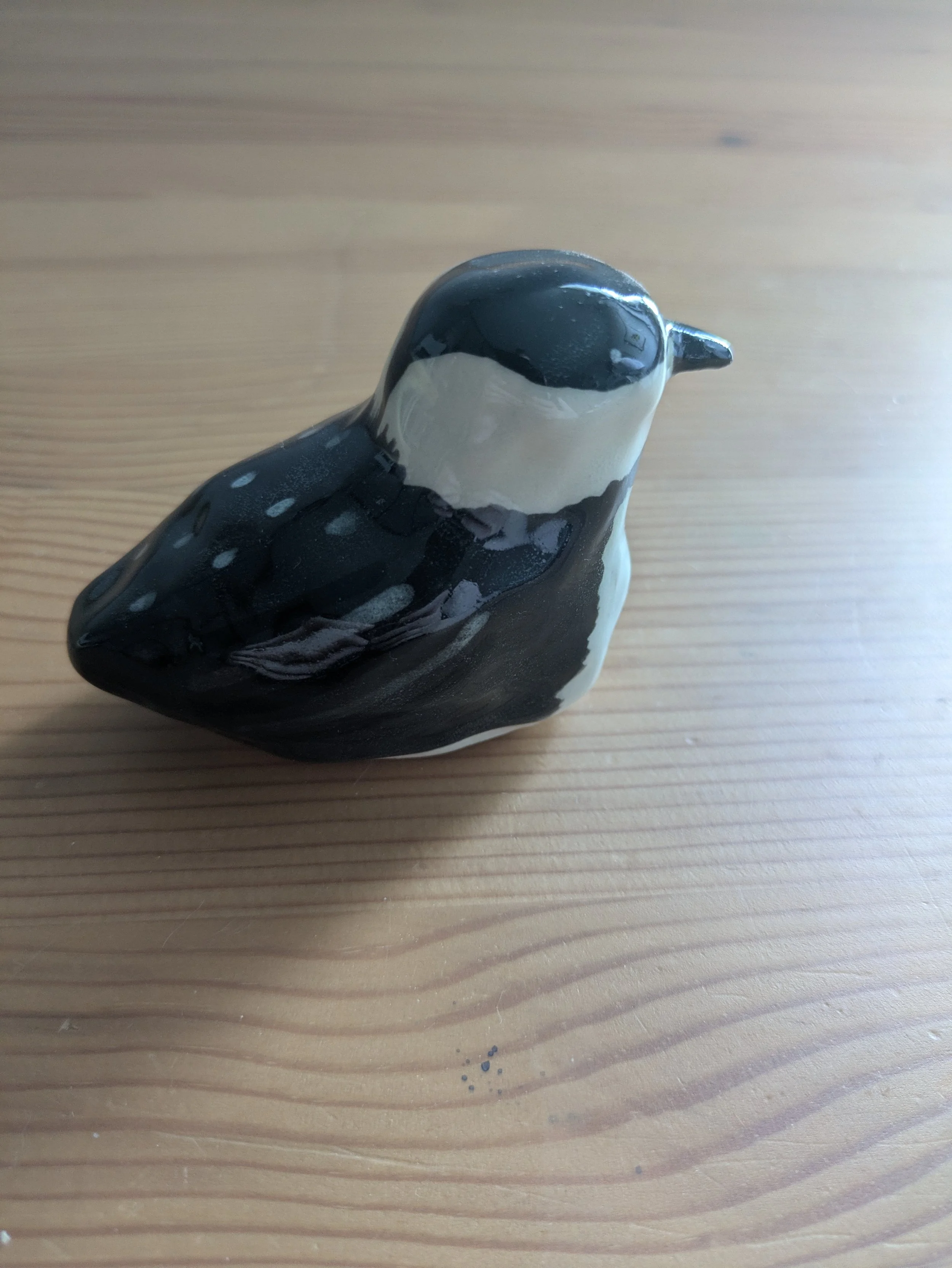 Little Black-Capped Chickadee.jpg