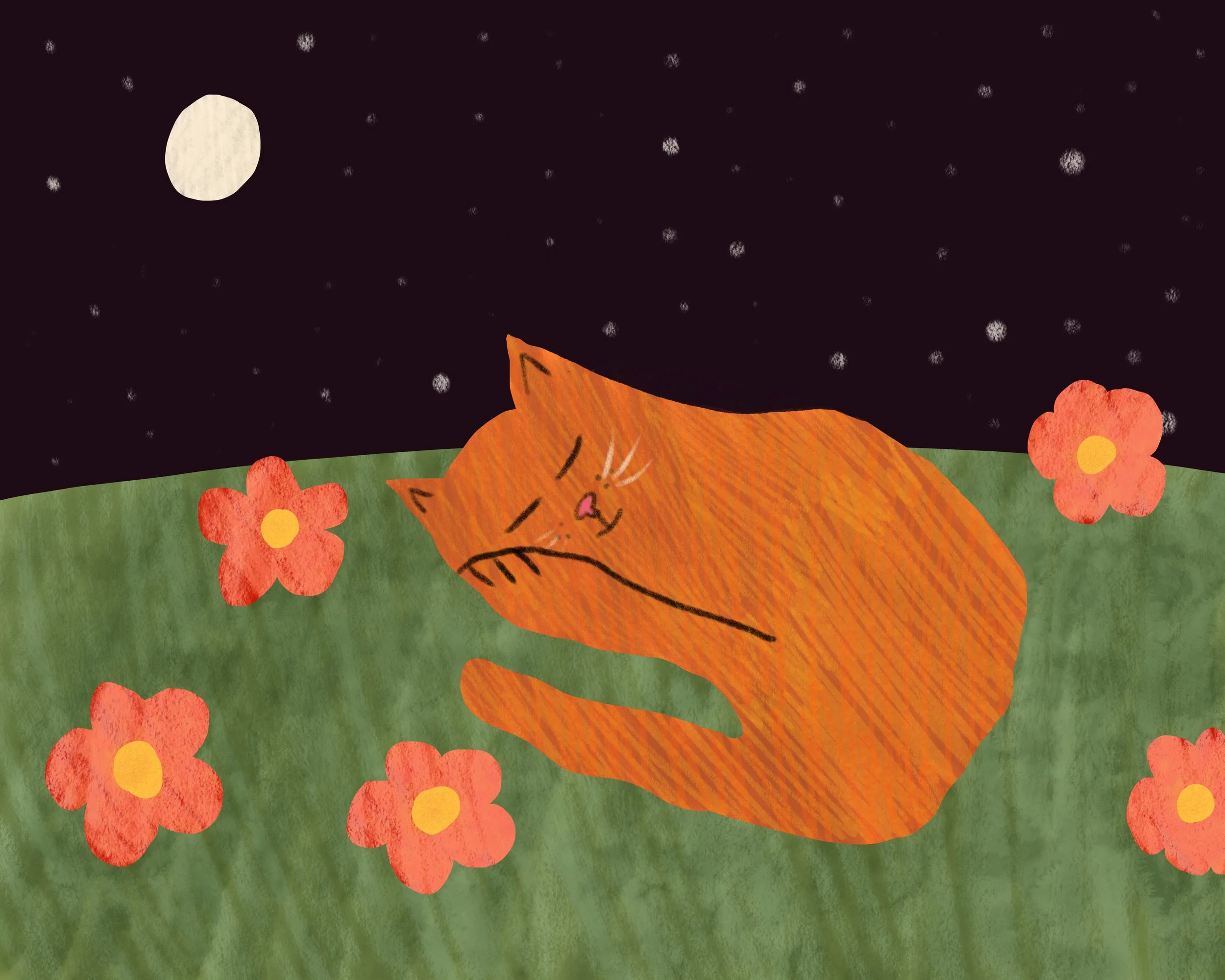Sleeping Cat.jpg