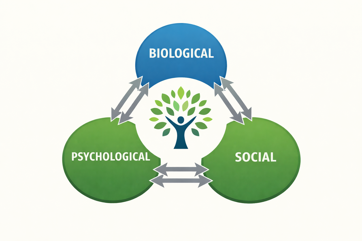 Bio-Psycho-Social Psychiatry: Multimodal Treatment Strategy