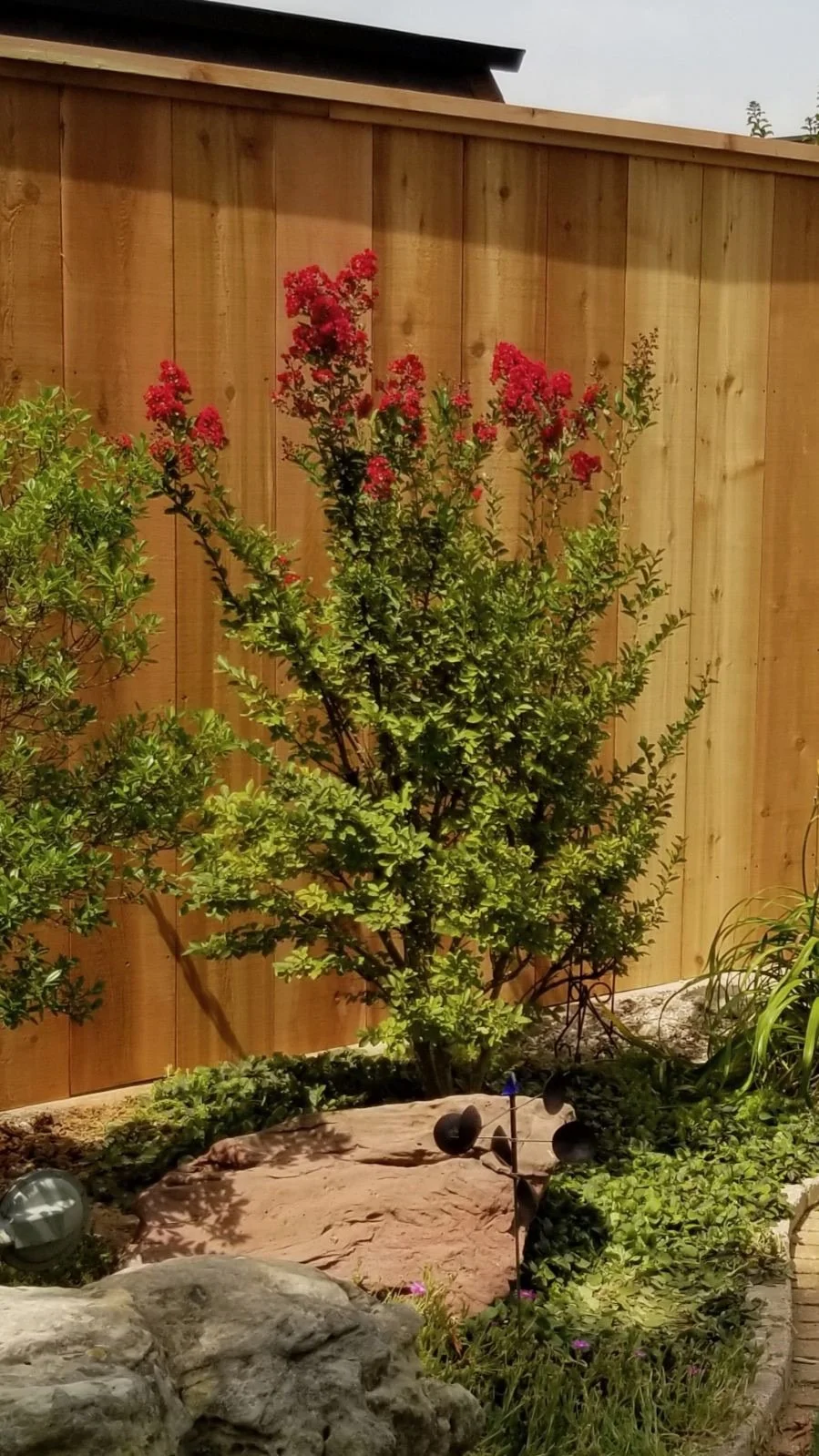 image000000 (17).jpg