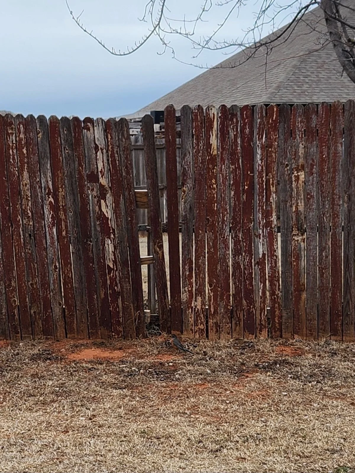 image000000 (14).jpeg