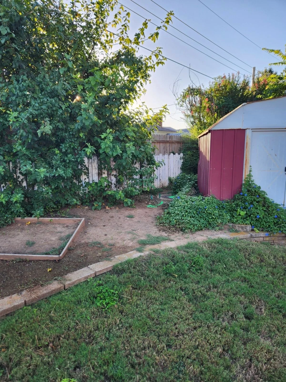 image000000 (9).jpeg