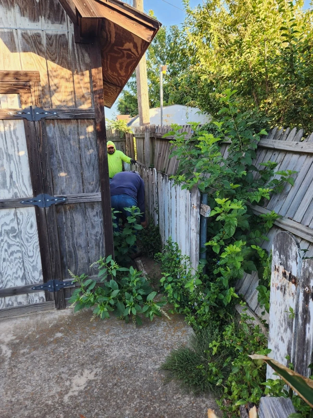 image000000 (13).jpeg