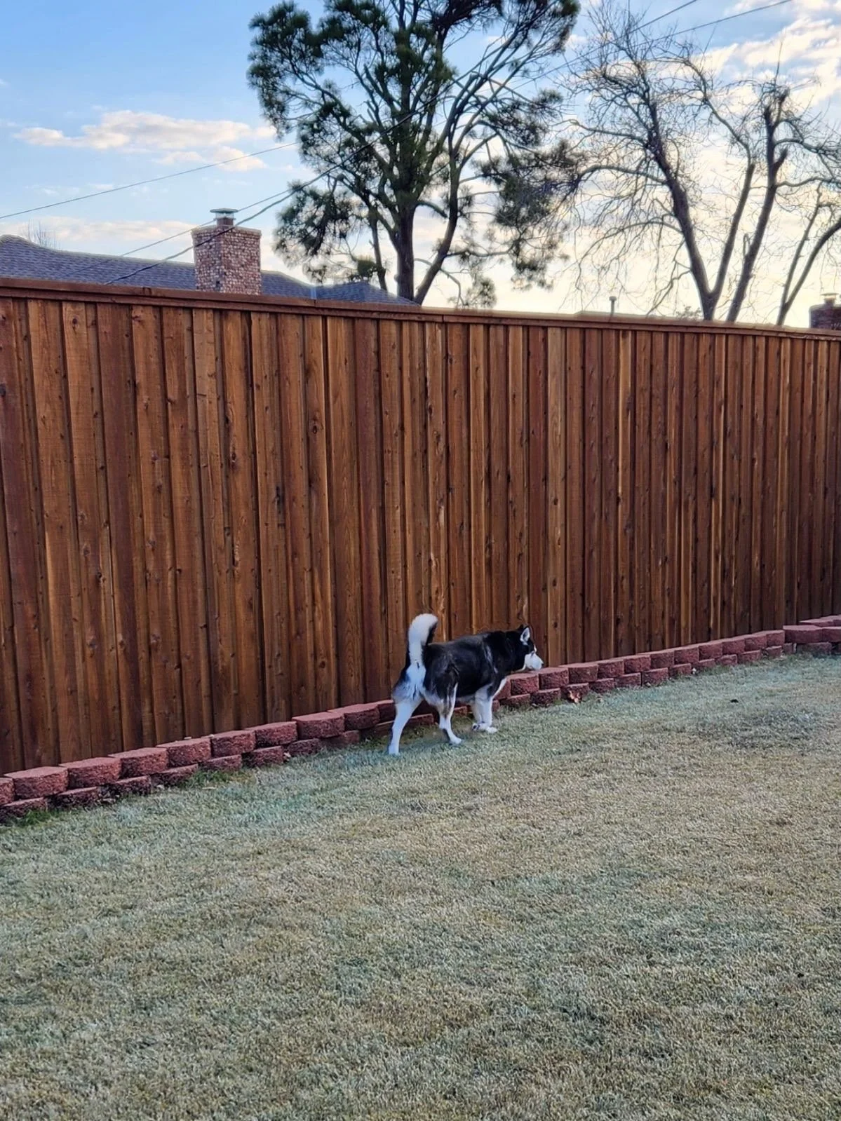 image000000 (4).jpeg