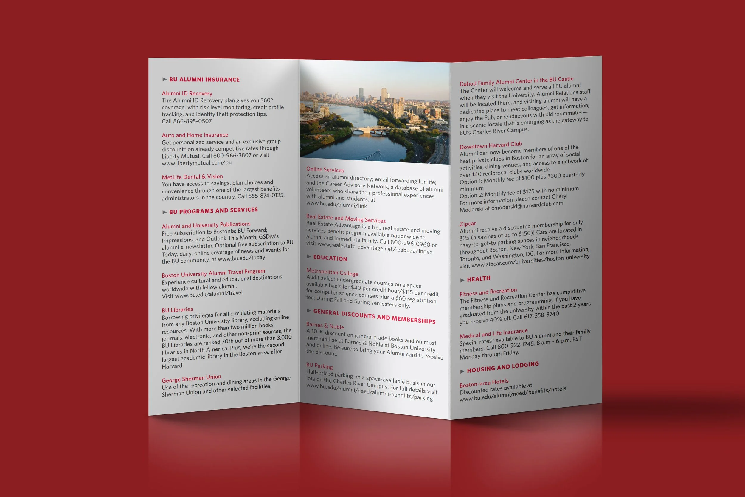 BU-GSDM_Brochure-alum.jpg