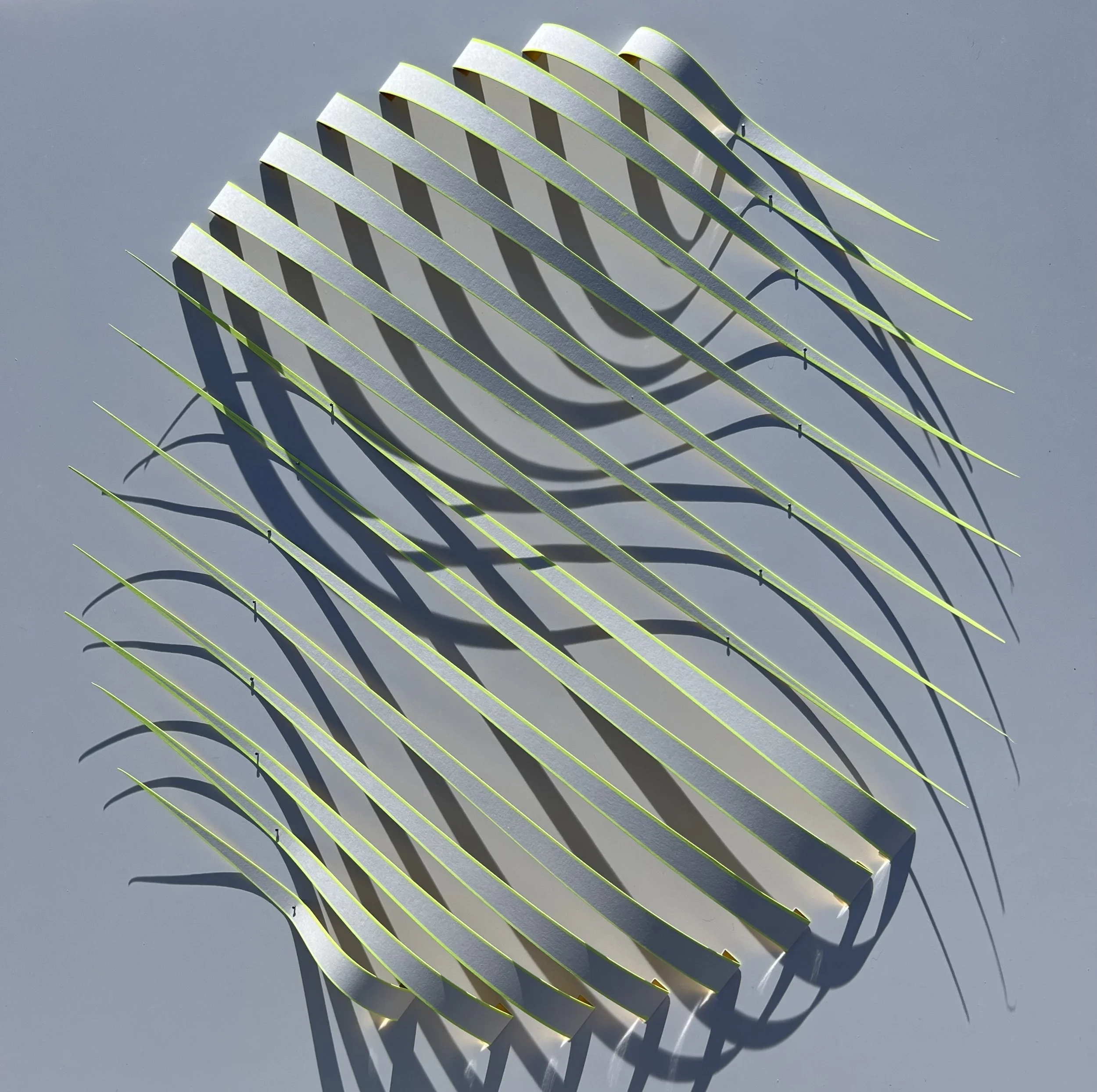 photo taken outside during the total solar eclipse on April 8, 2024