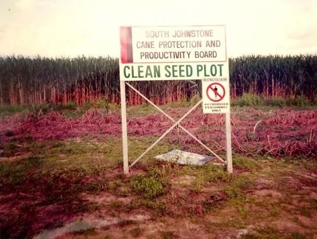 Clean seed plot sign in a sugarcane field managed by the South Johnstone Cane Protection and Productivity Board, promoting disease-free cane cultivation in the Innisfail region.