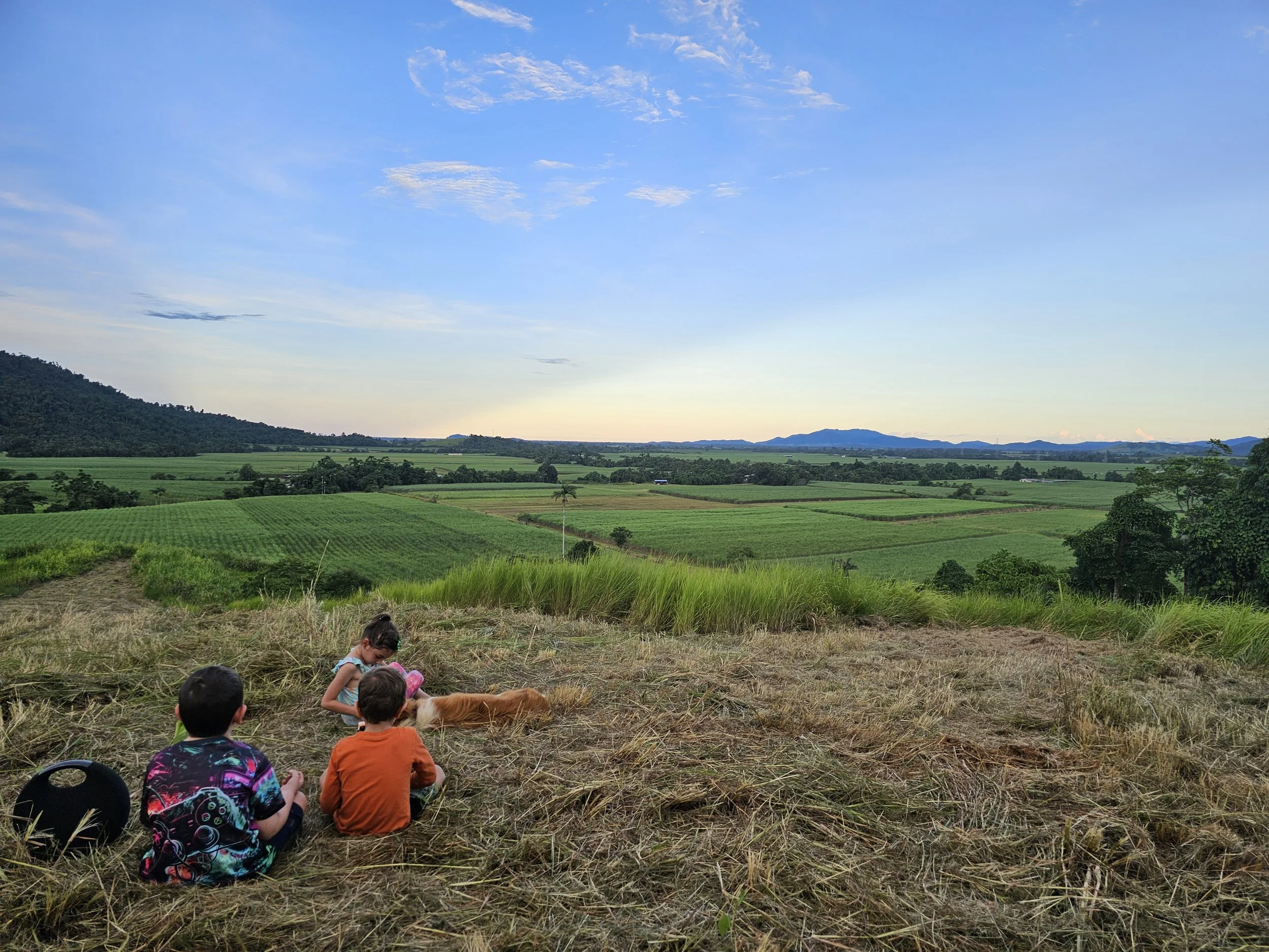 View of sunset over lush green canefields from the back of Walter Lever Estate in Queensland