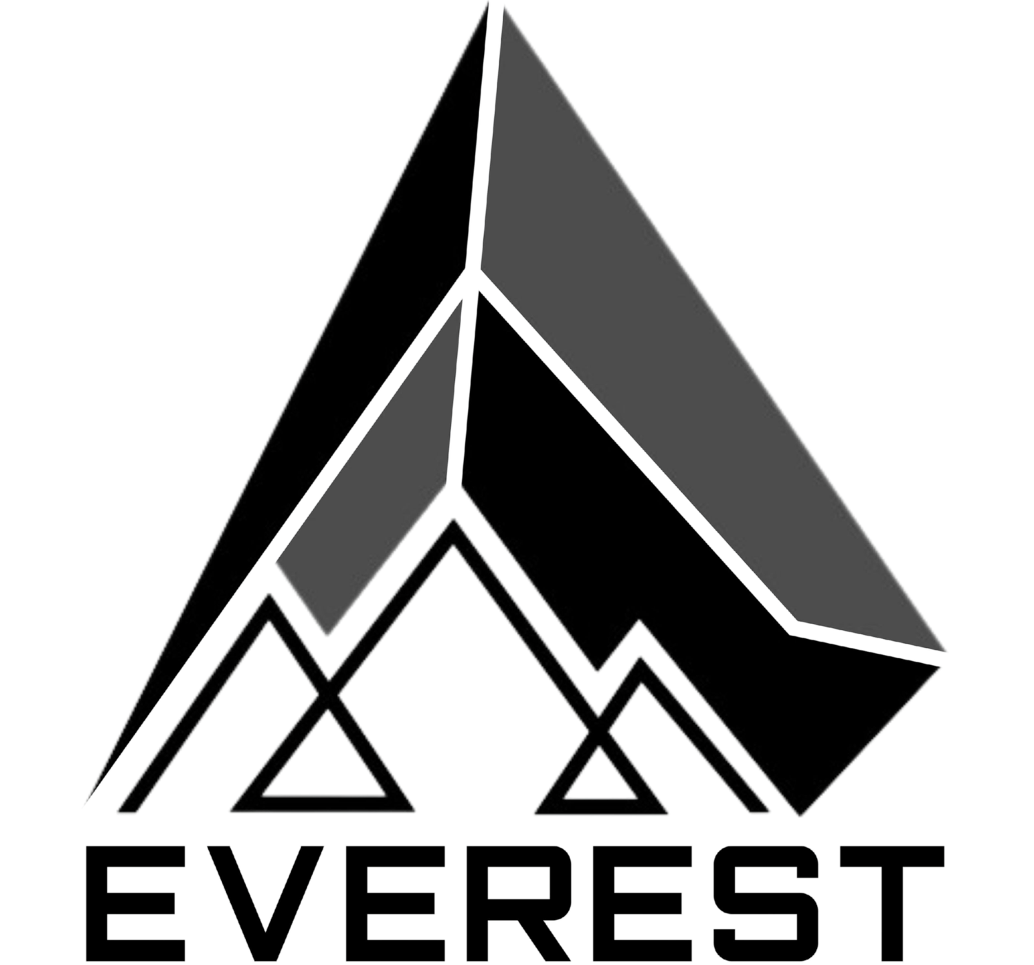 EVEREST SEGURIDAD PRIVADA