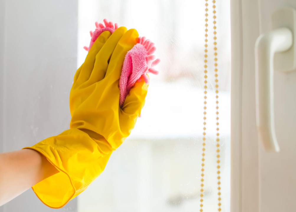 Window        and         Surface        Restoration